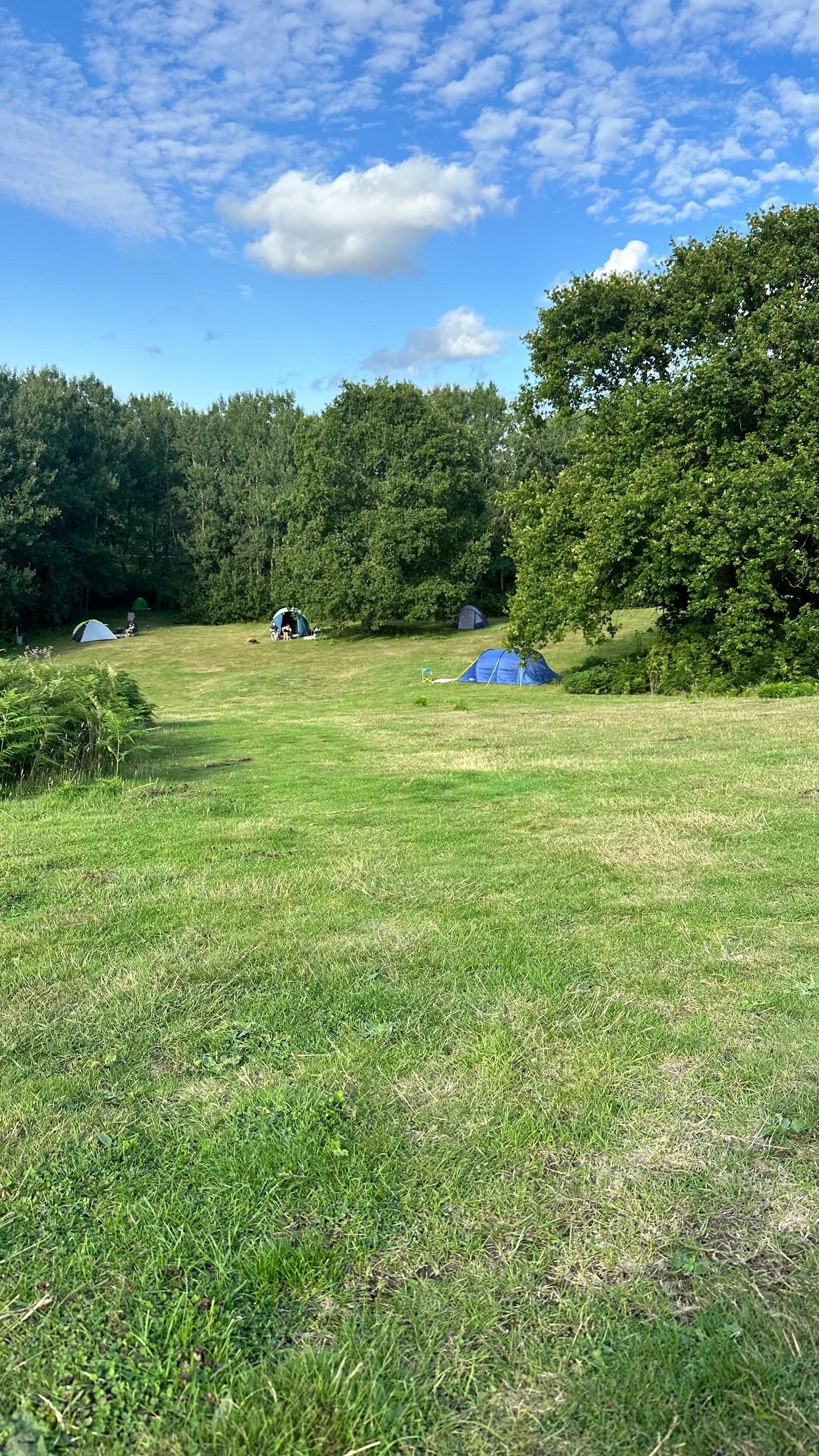 Oak Valley Lodges & Camping
