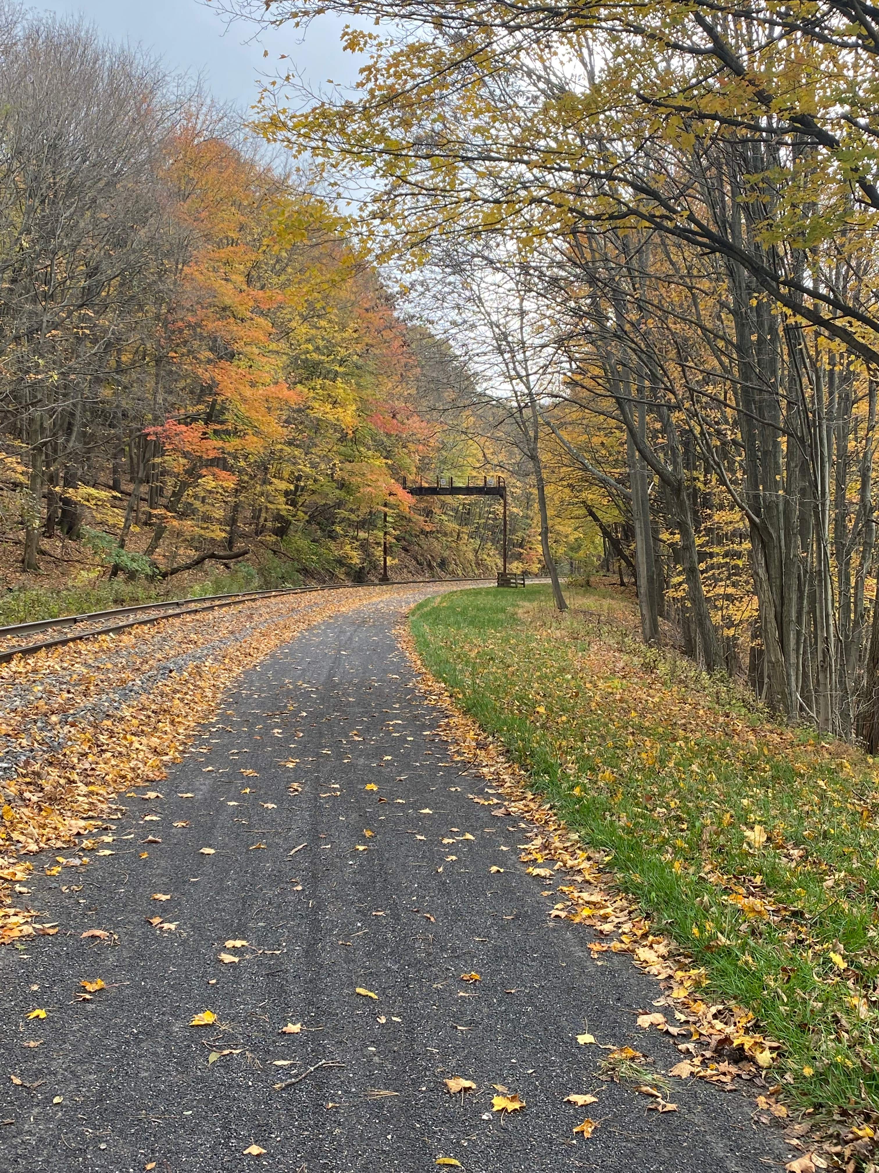 GAP Trail in your Backyard 
