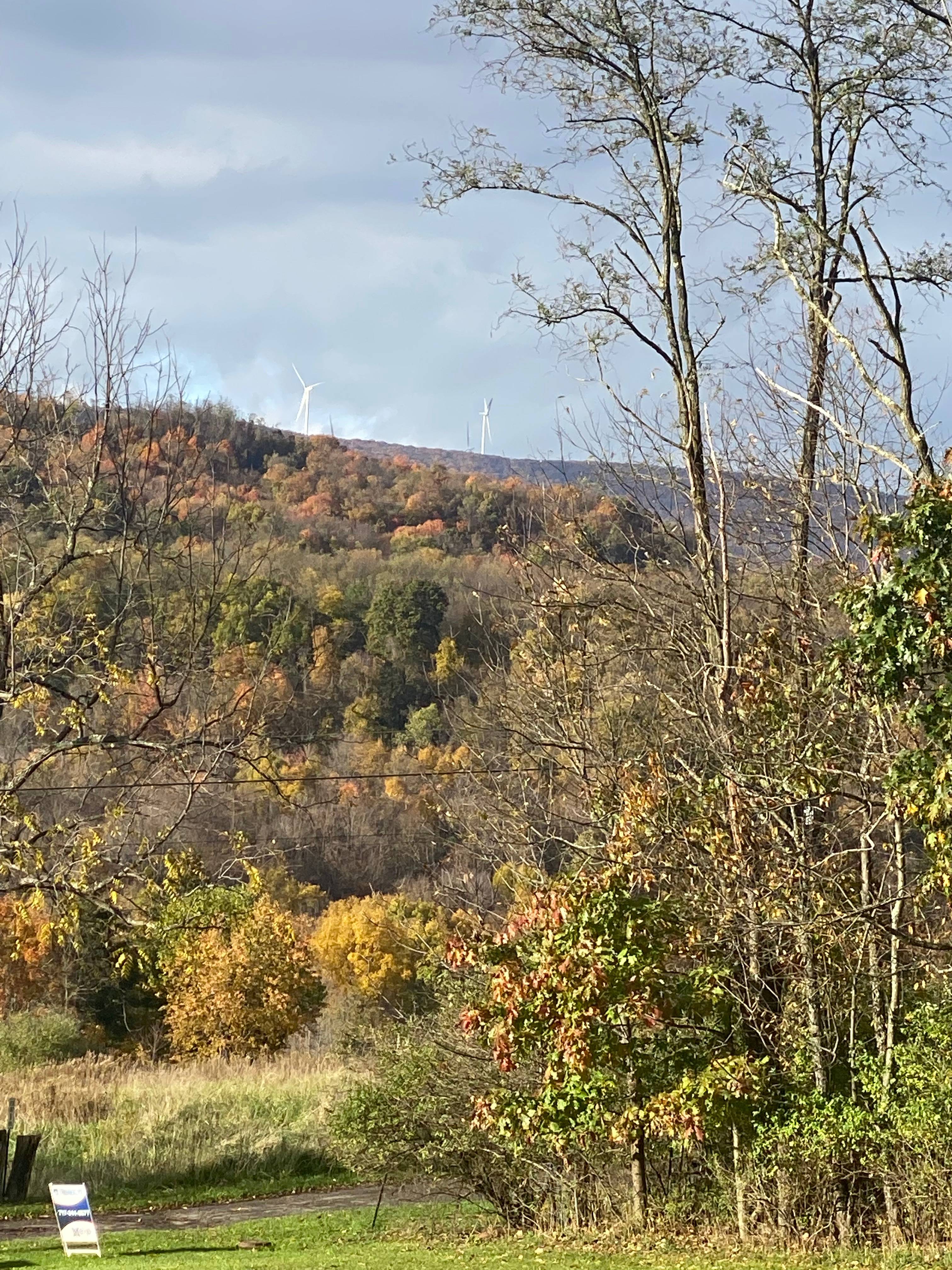 GAP Camping Site 1
