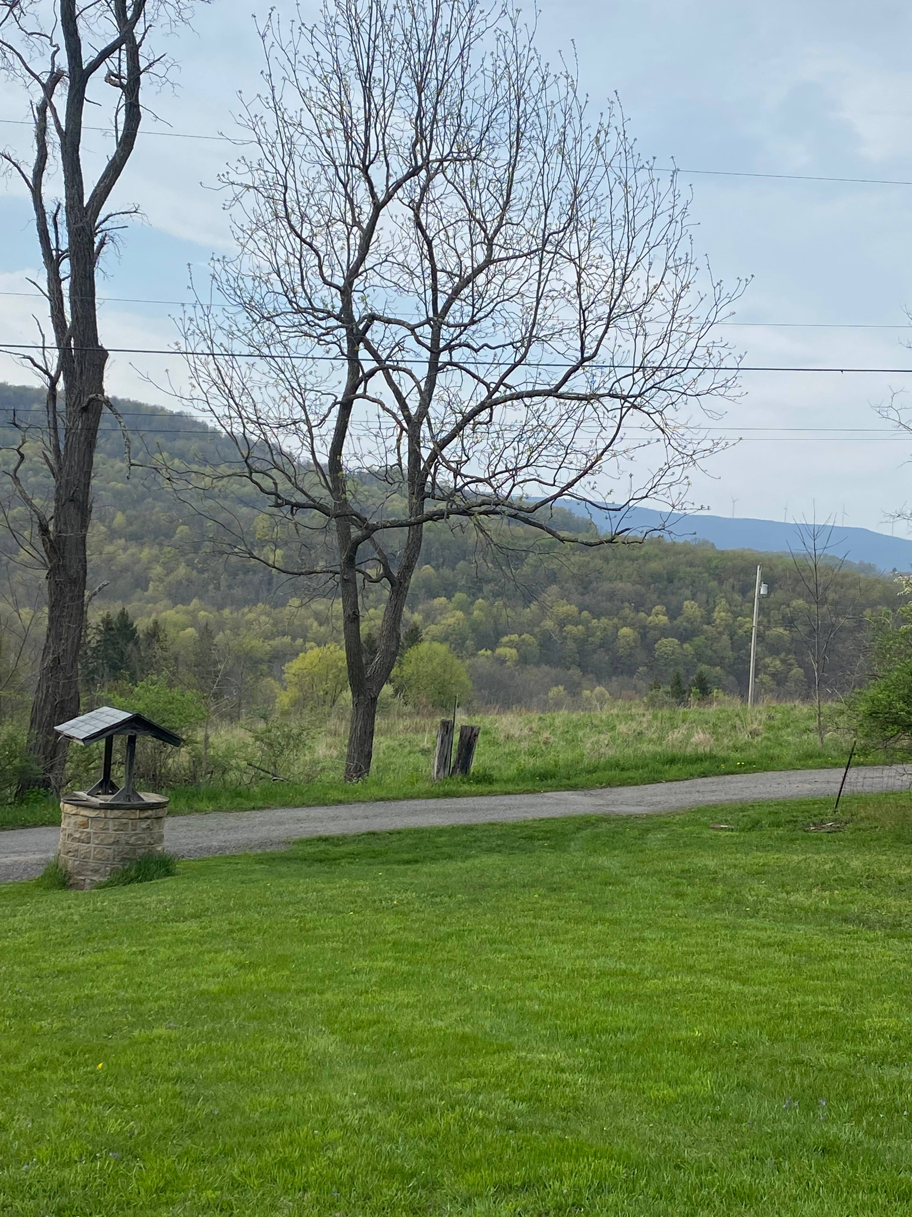 GAP/WM Scenic Railroad Camping