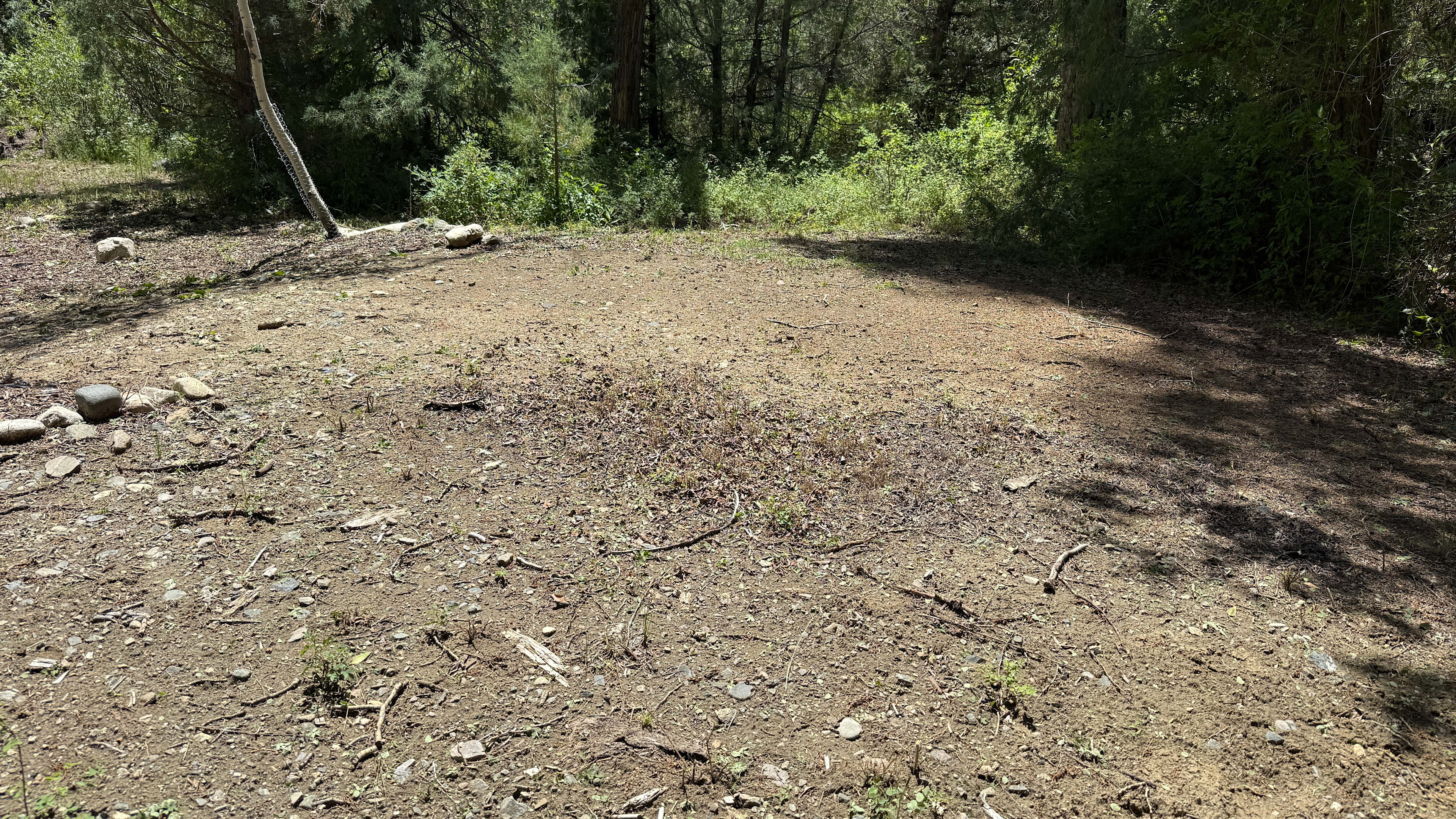 Quiet Creekside Tent Site