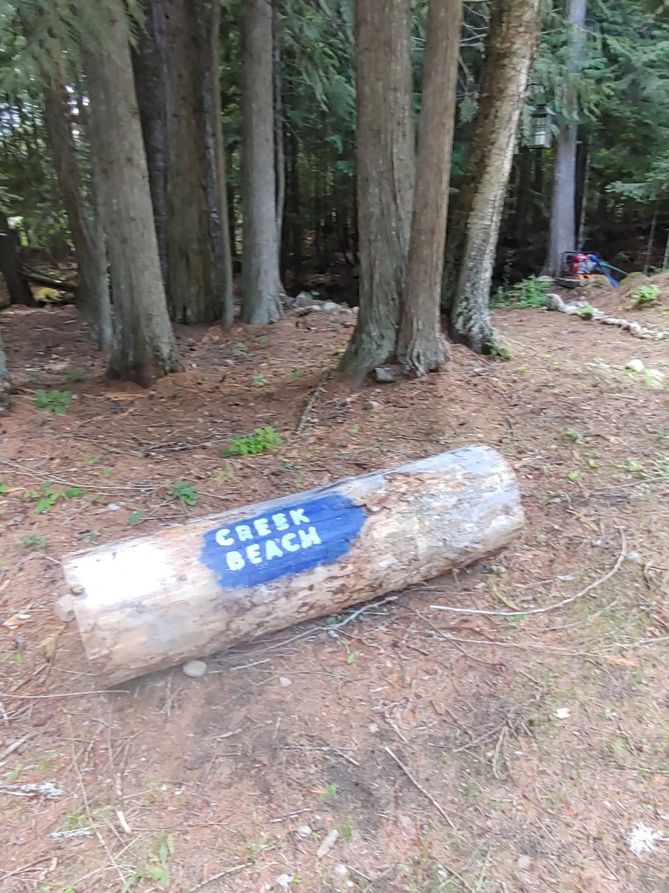 Base Camp on Trout Creek