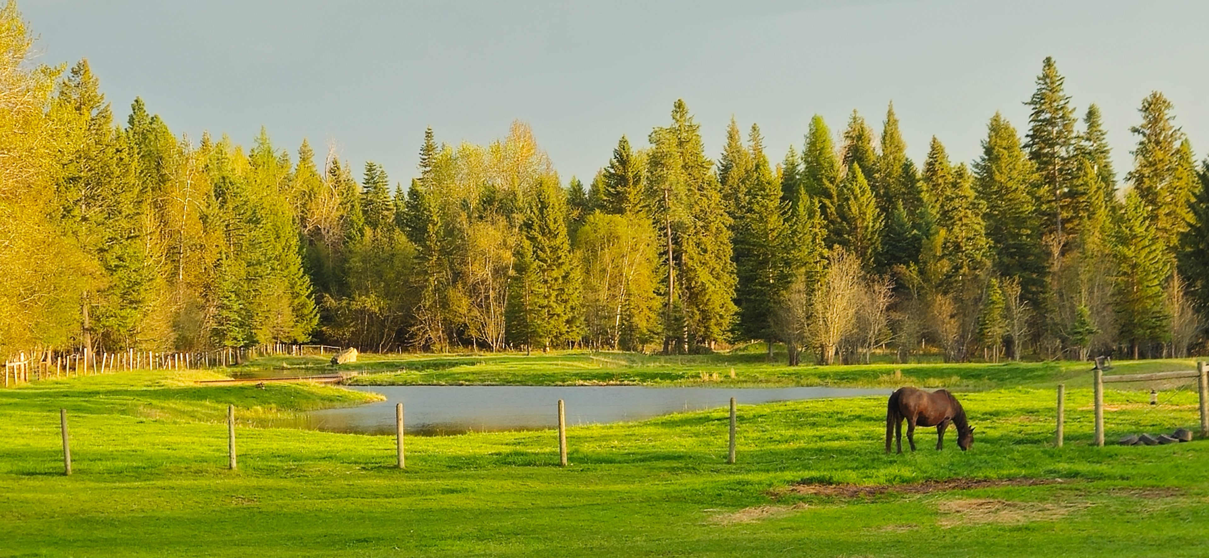 Private 10 Acres in the country