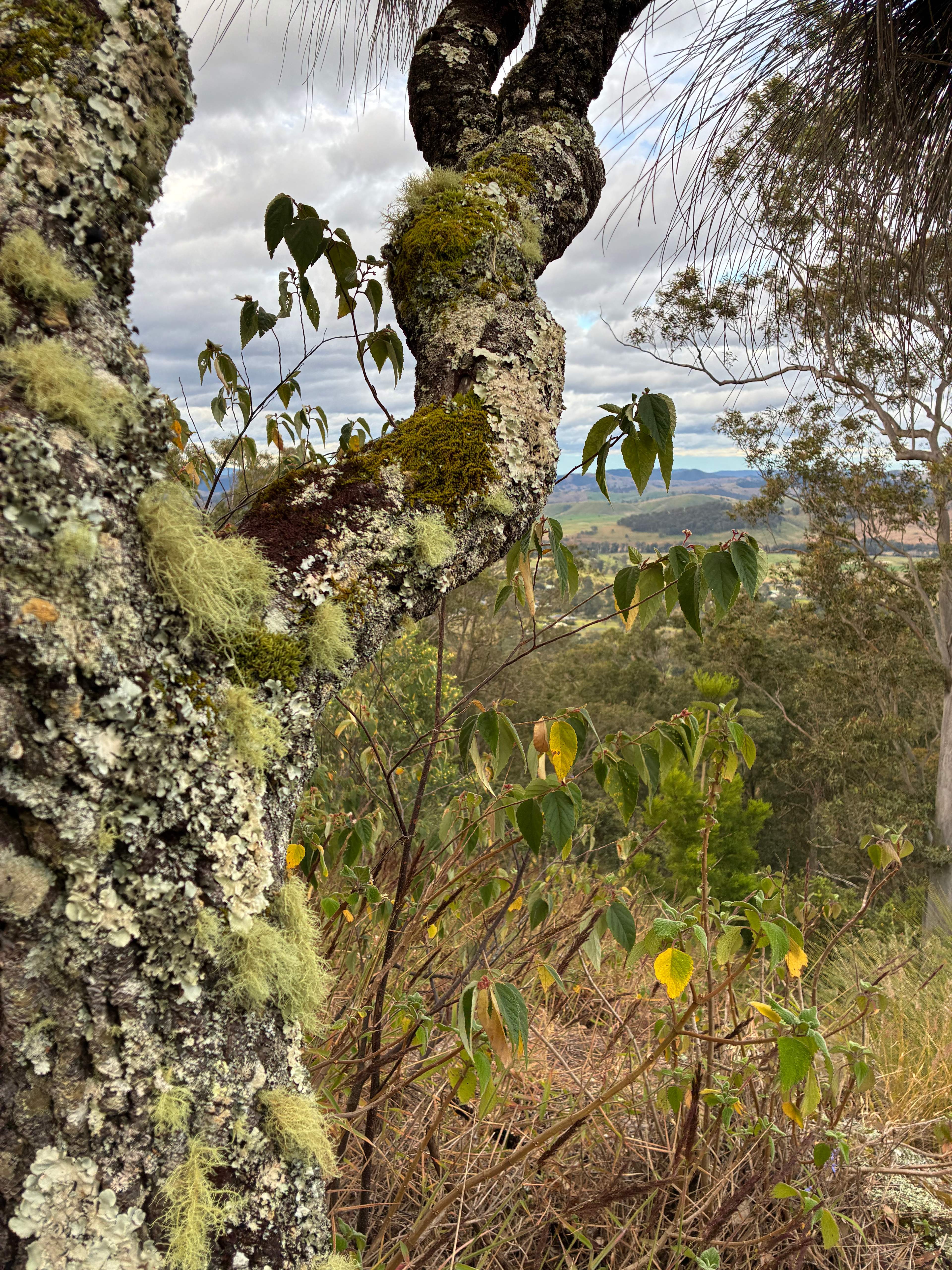 Gloucester Old Man's Rest Campsite