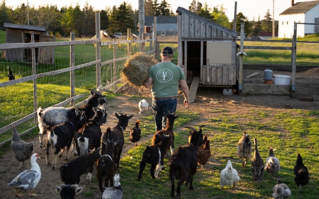 Feeding time! You can get in on the fun, where you'll be the hero of the day.