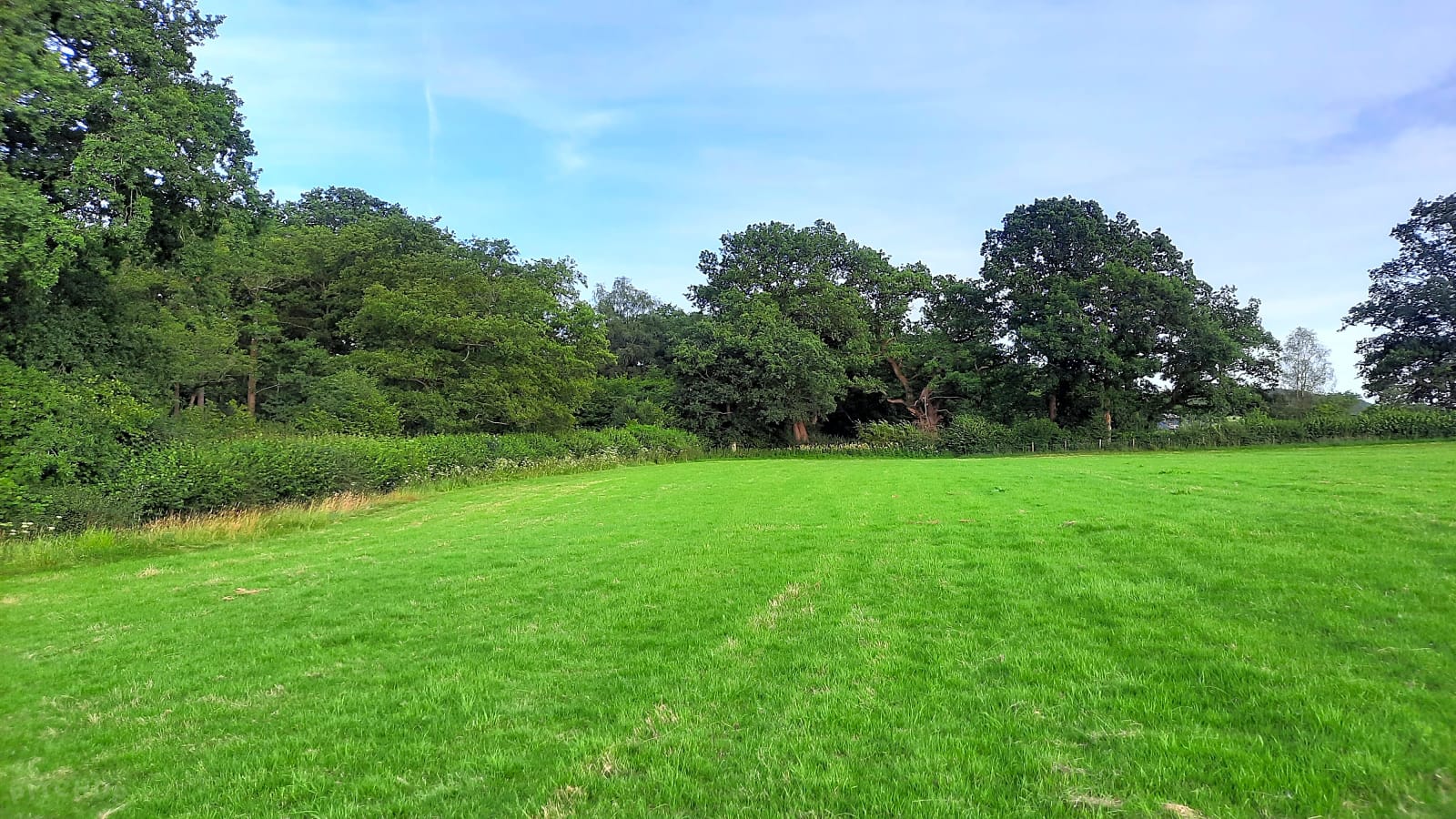 The Bryn Farm Camping