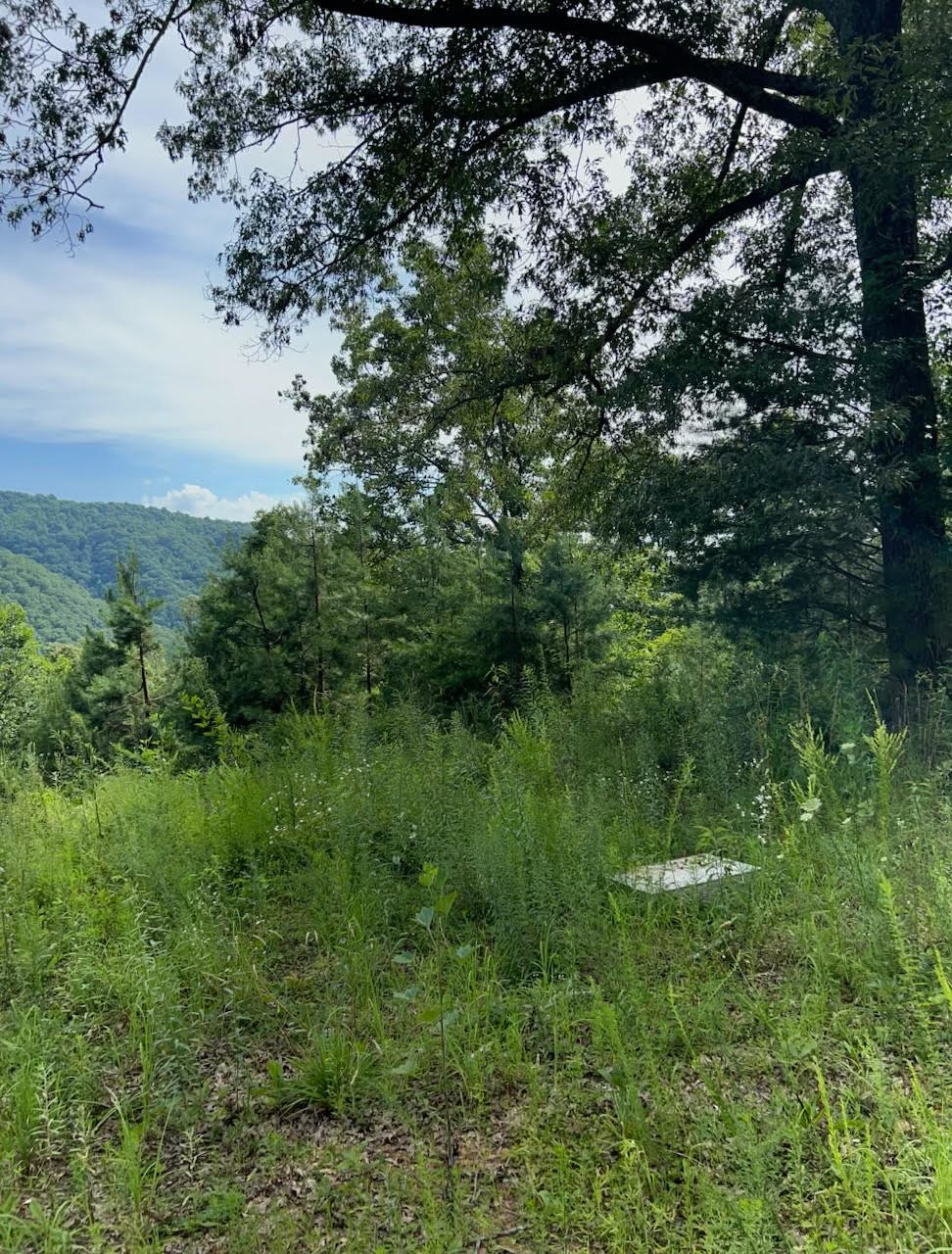 TENT MOUNTAIN (Tenting Lane)