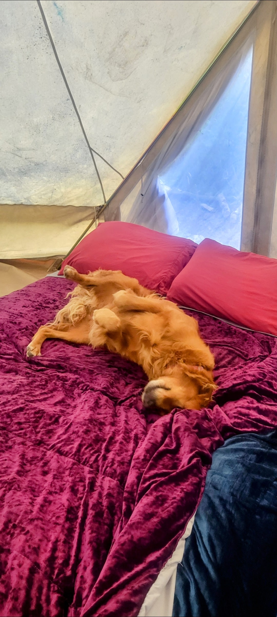 Seaforest Eco-Retreat