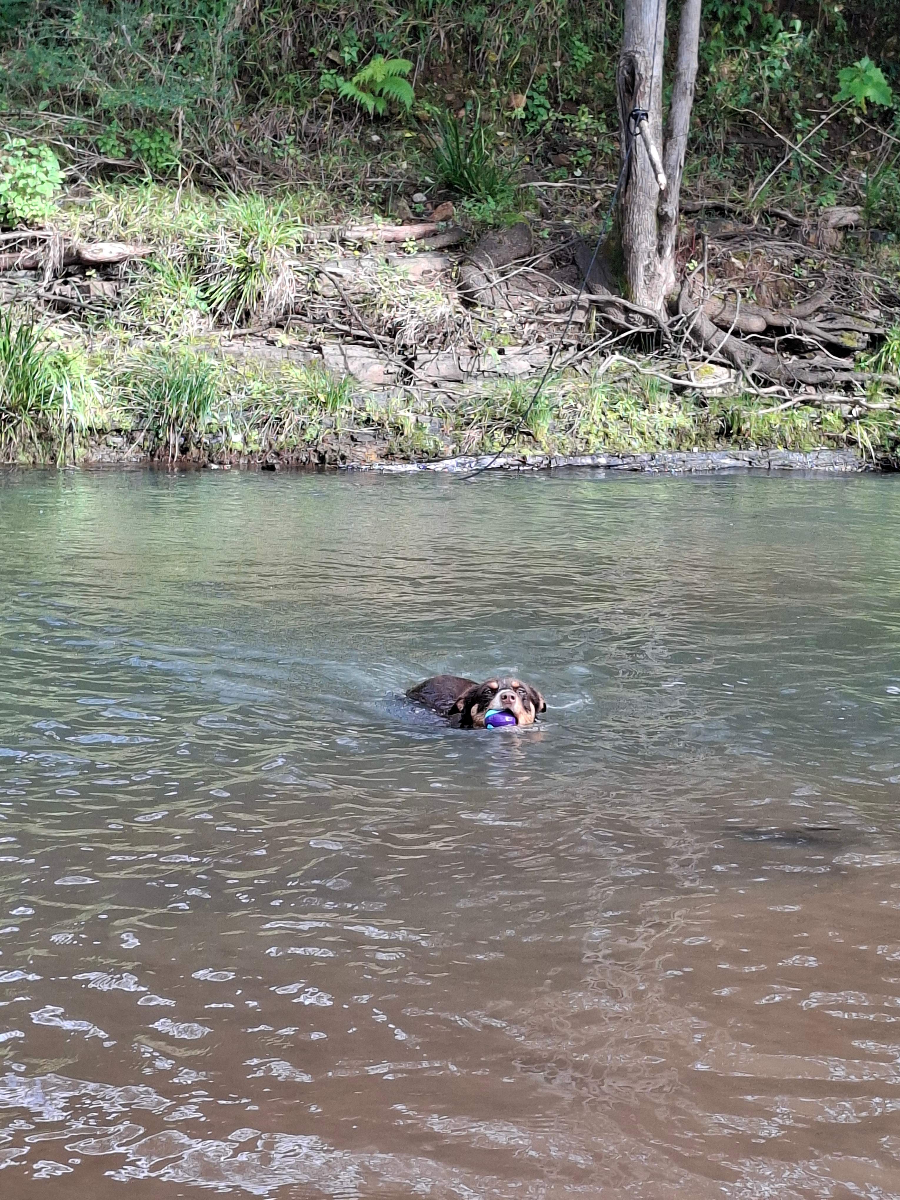 Lumeah By The Creek Near Waterfalls
