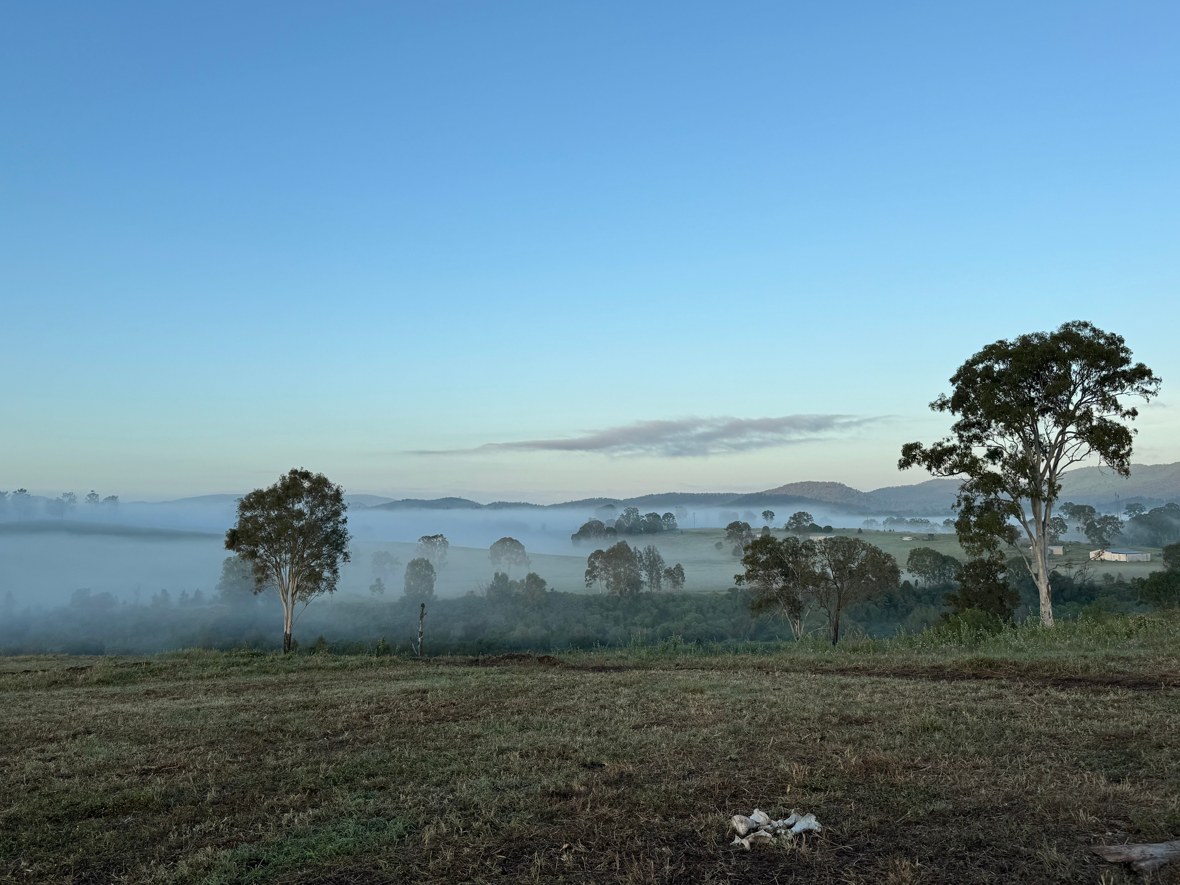 Harriets Rest - Creekside Camping