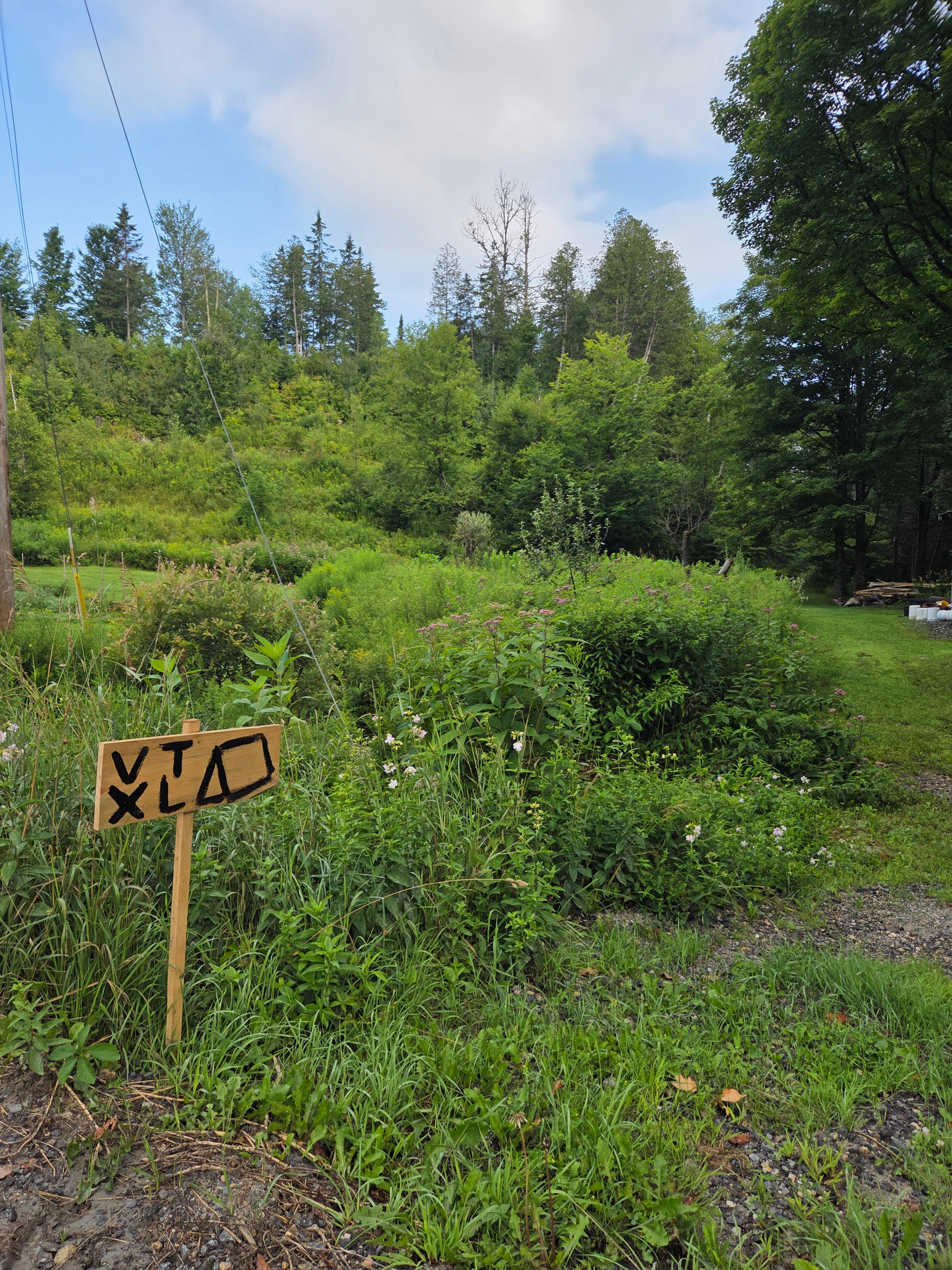 VTXL Wooded Brookside Camping