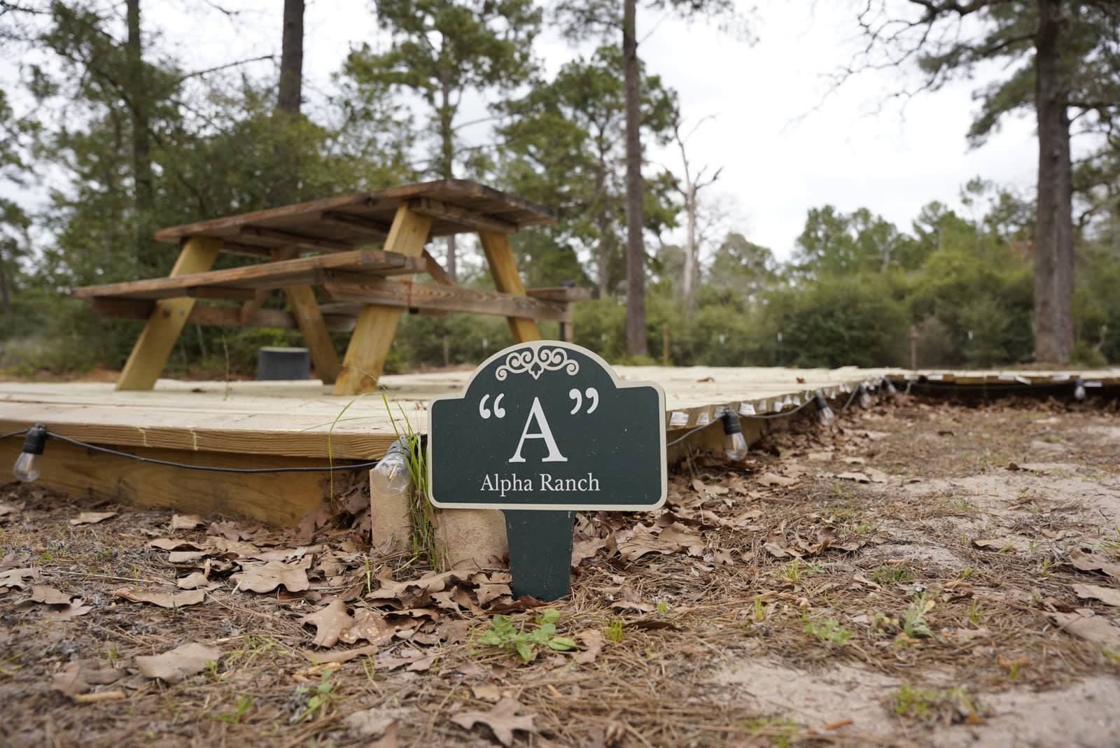 Alpha Ranch | Tent & RV Camp Sites