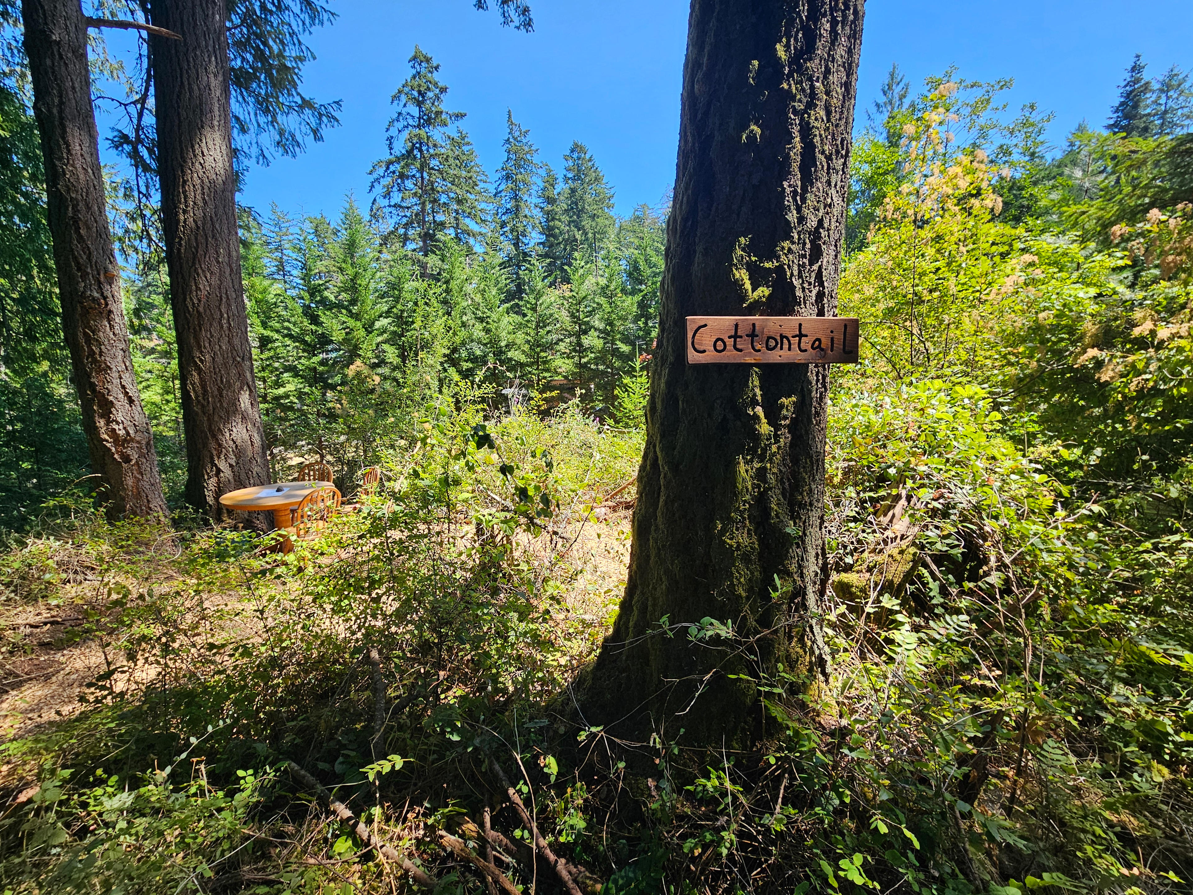 Terravita Brentwood Bay