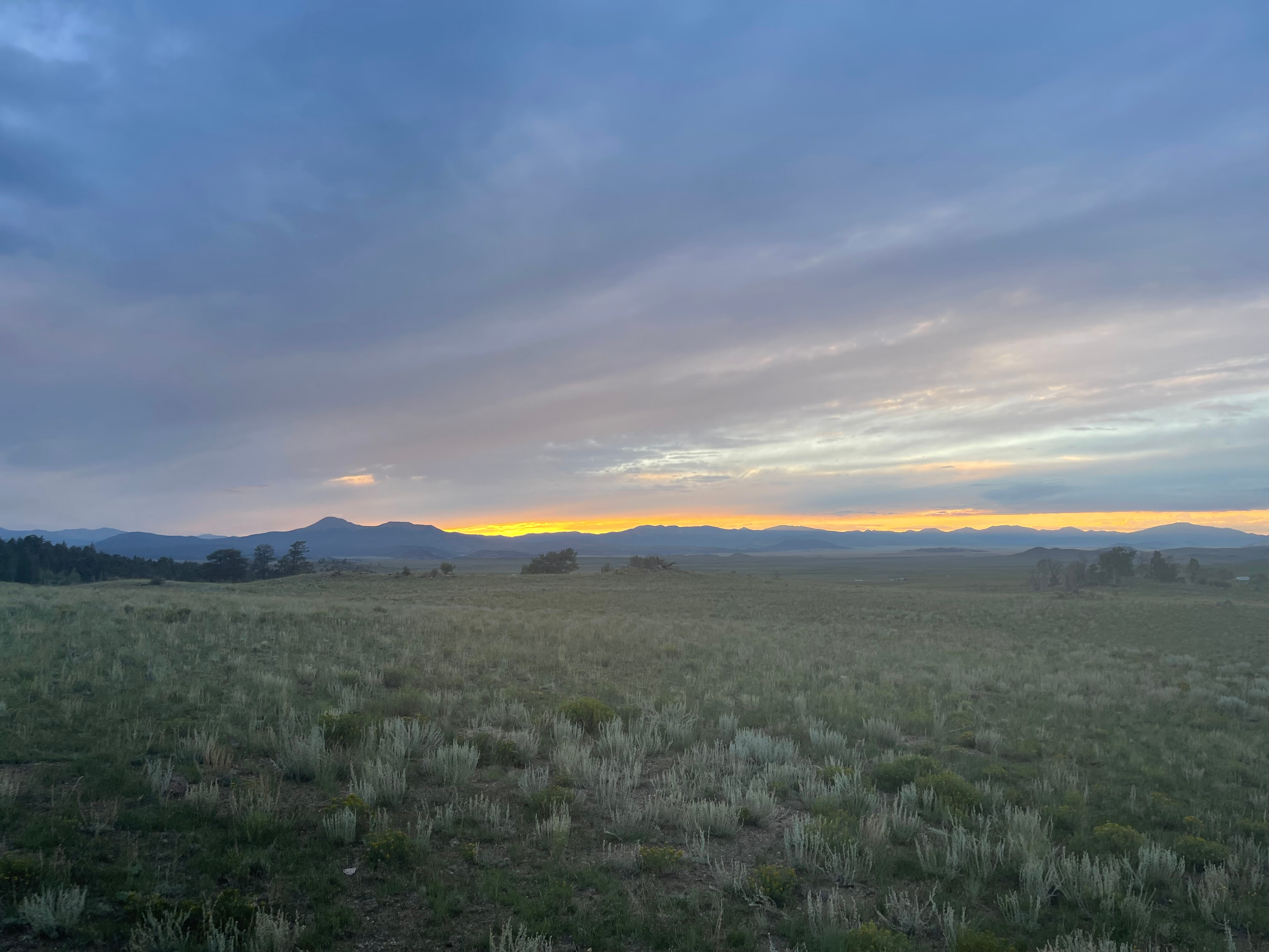 Aikman Acres