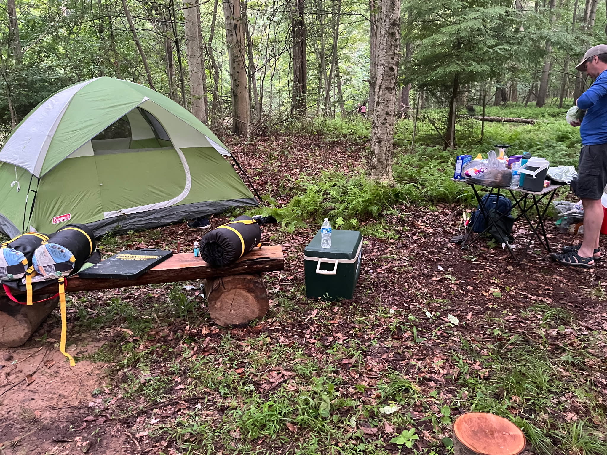 Fish’n Camp