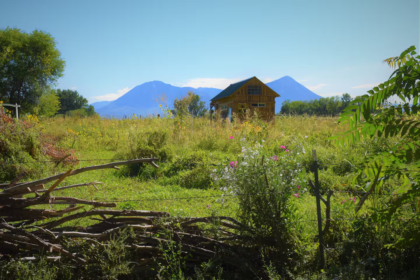 Luna Vista Cabin & Camping