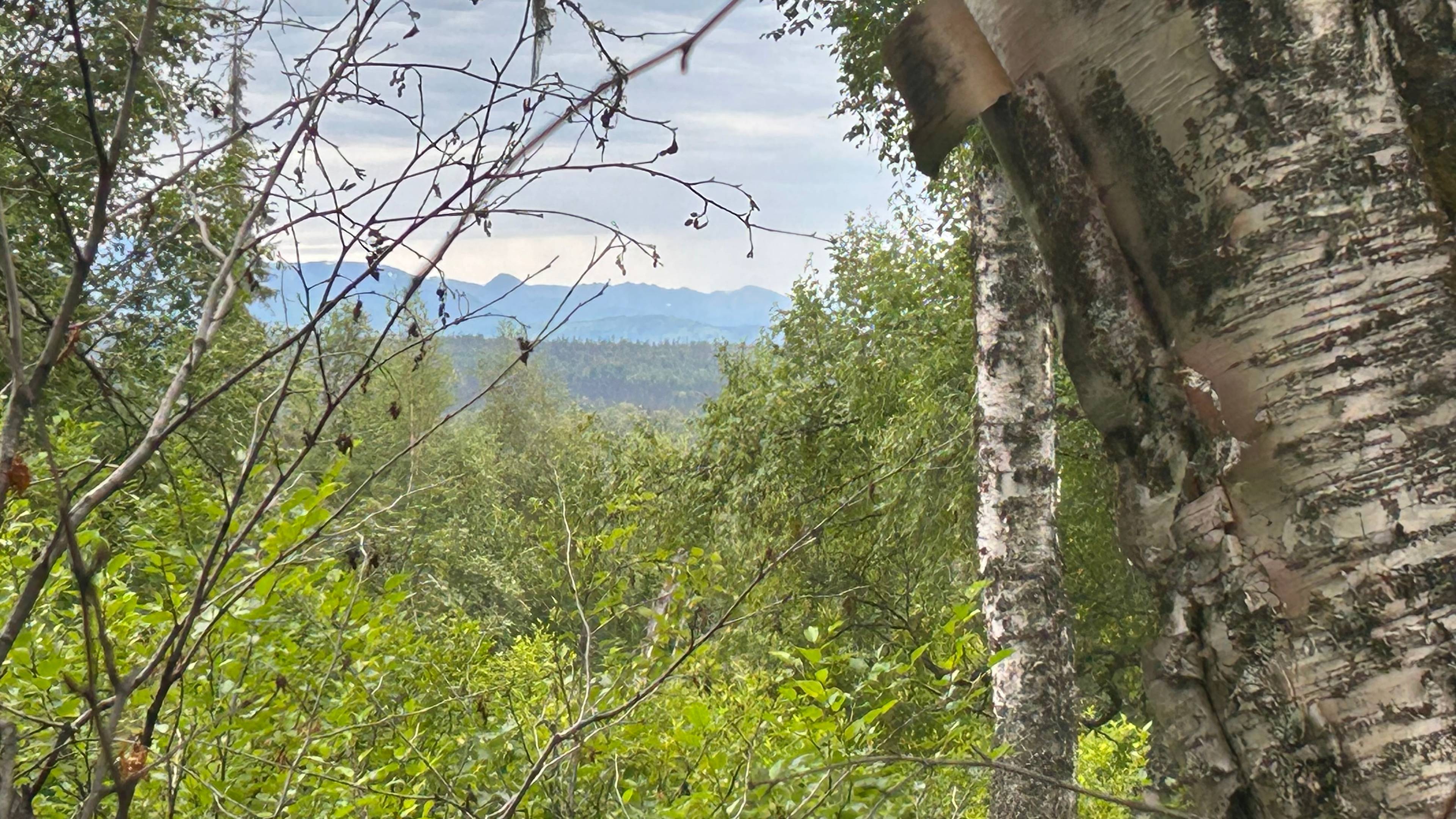 Talkeetna Range