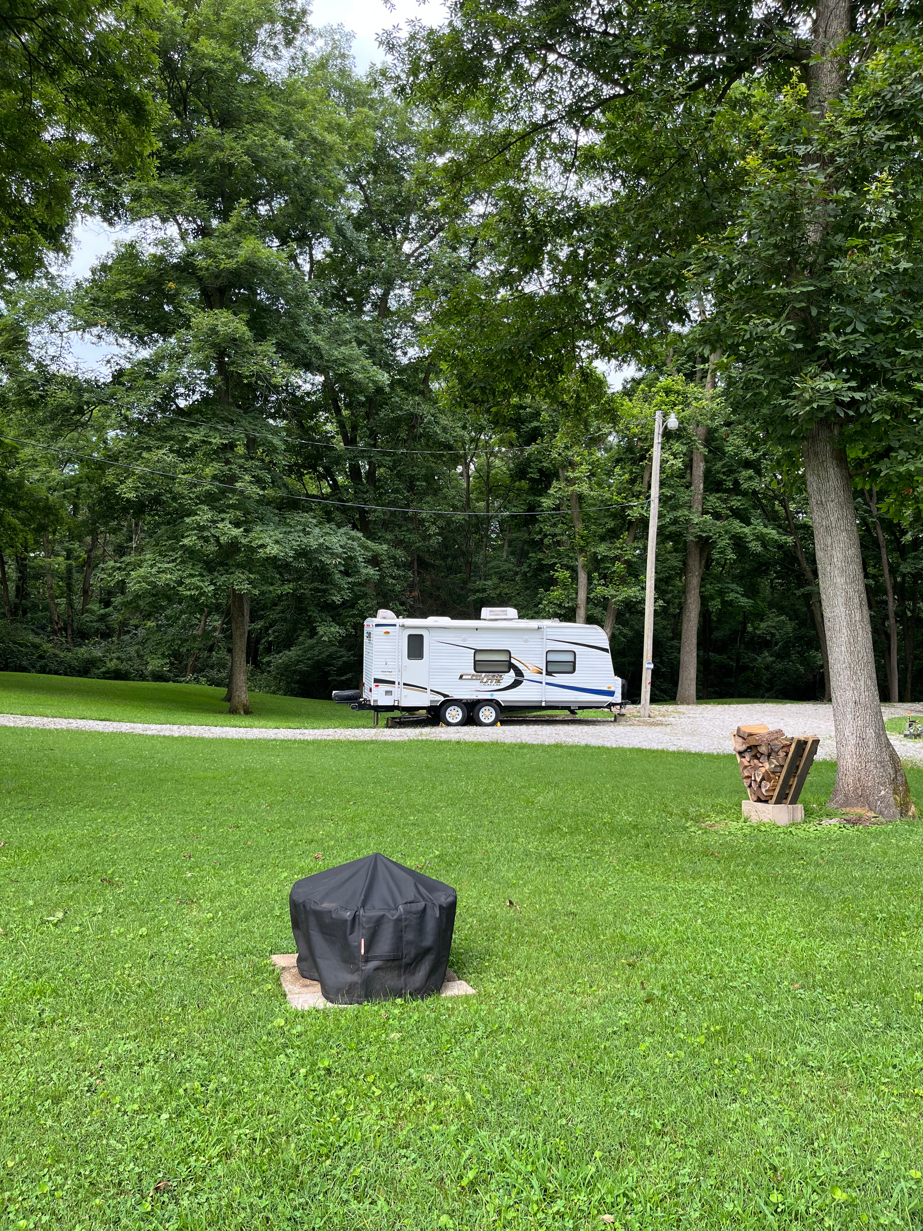 RV In The Pines