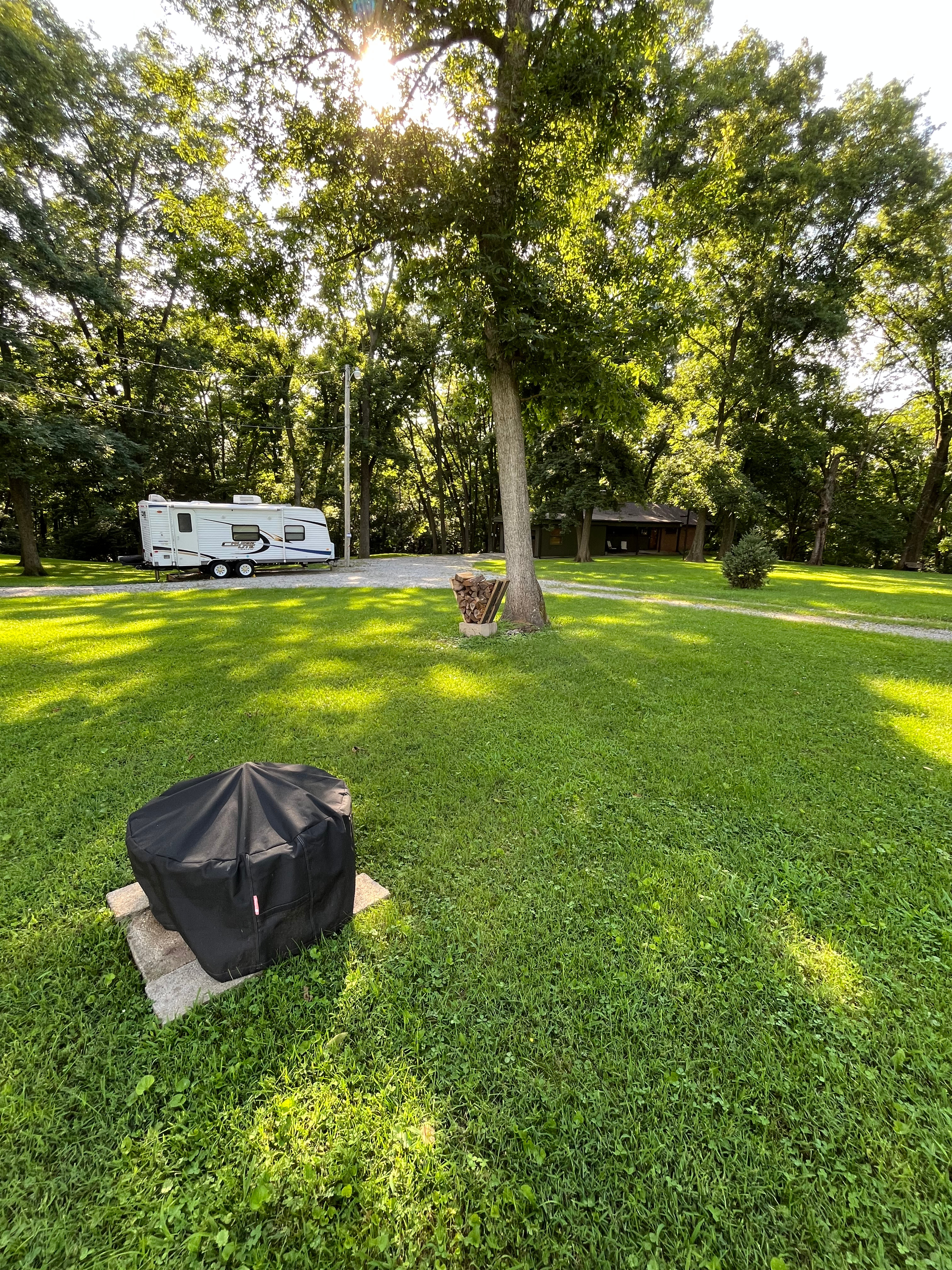 RV In The Pines
