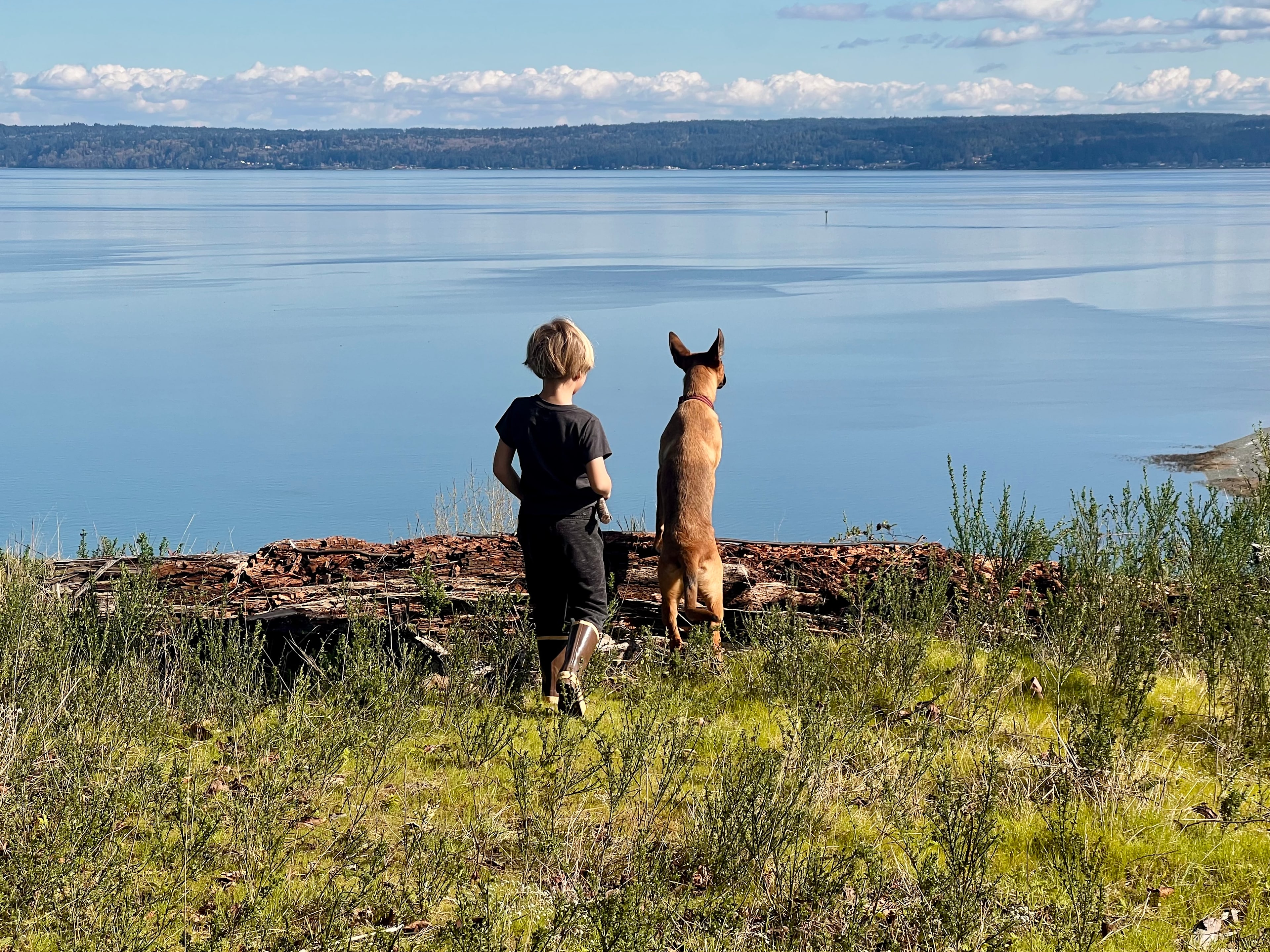 Hood Canal Acres