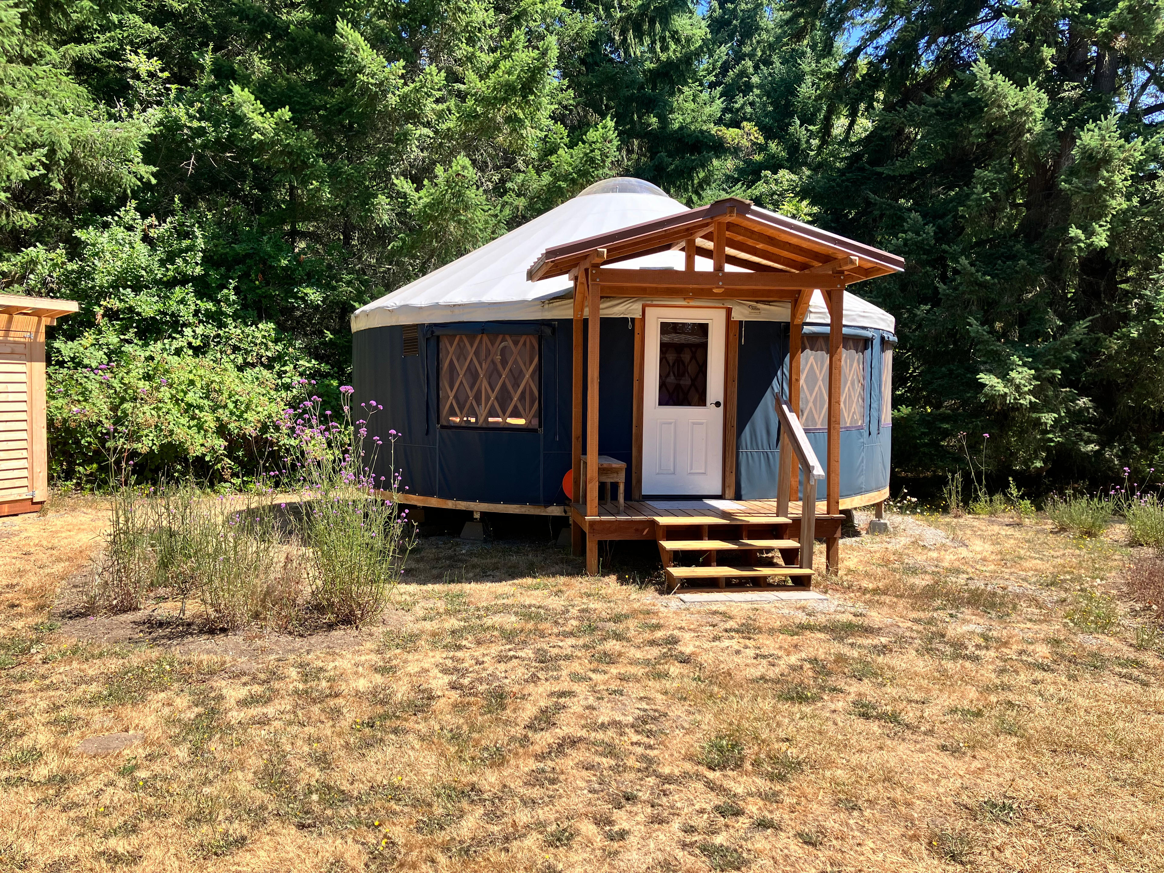 Bywater Yurt
