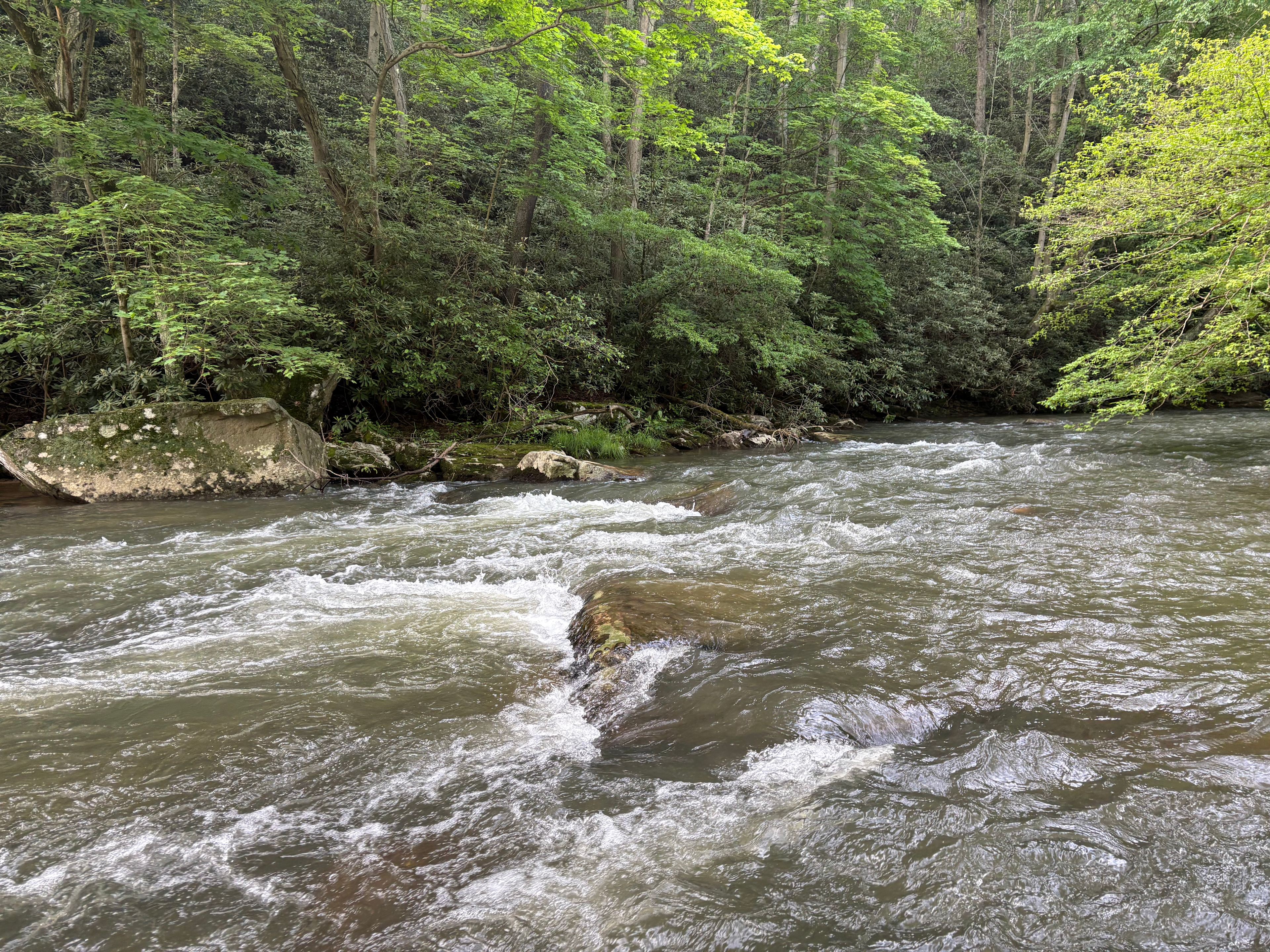 Fish’n Camp