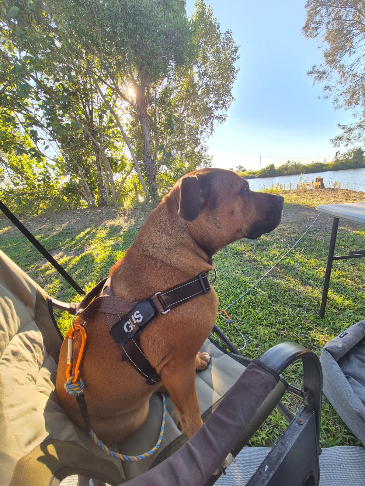 Burtons Riverside Campgrounds