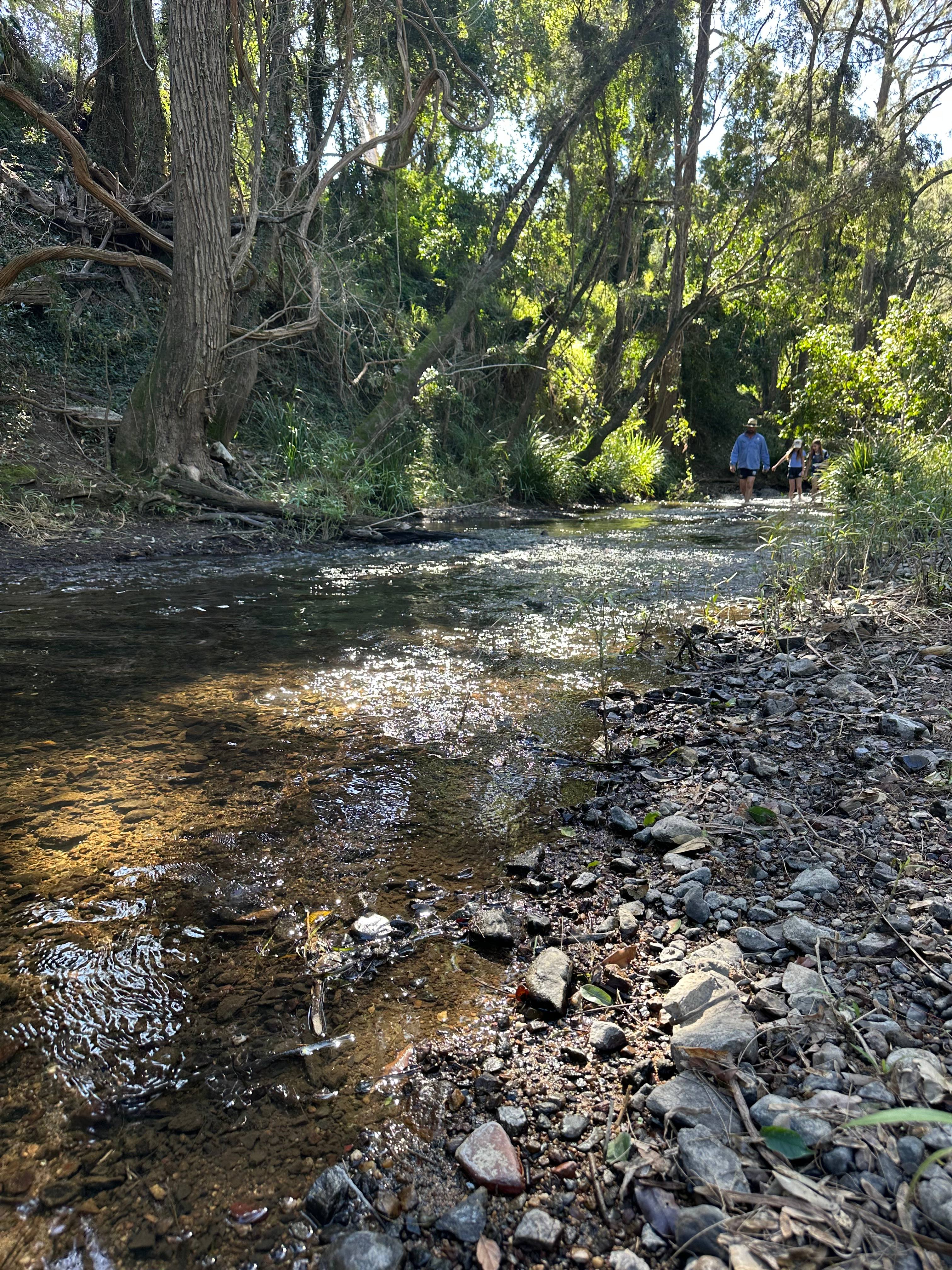Camp Life By The Creek