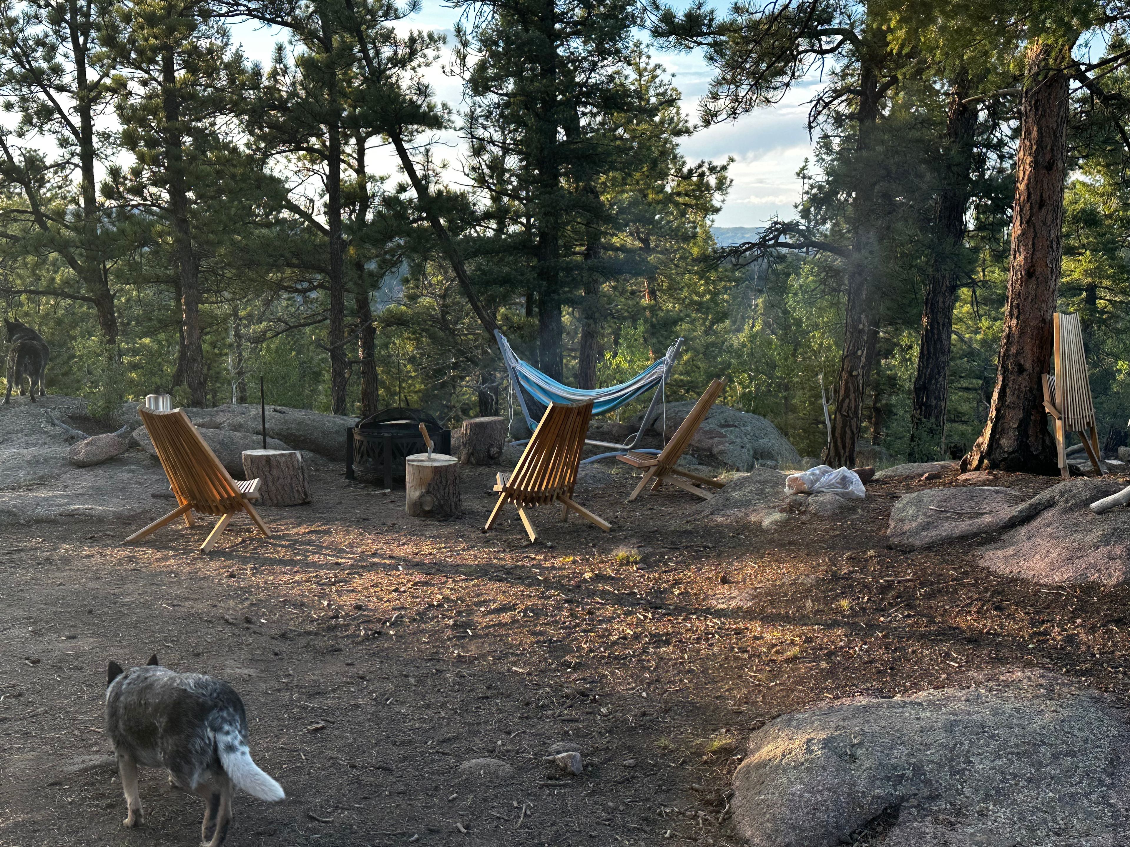 20-Acre Mountain Campsite & Shed