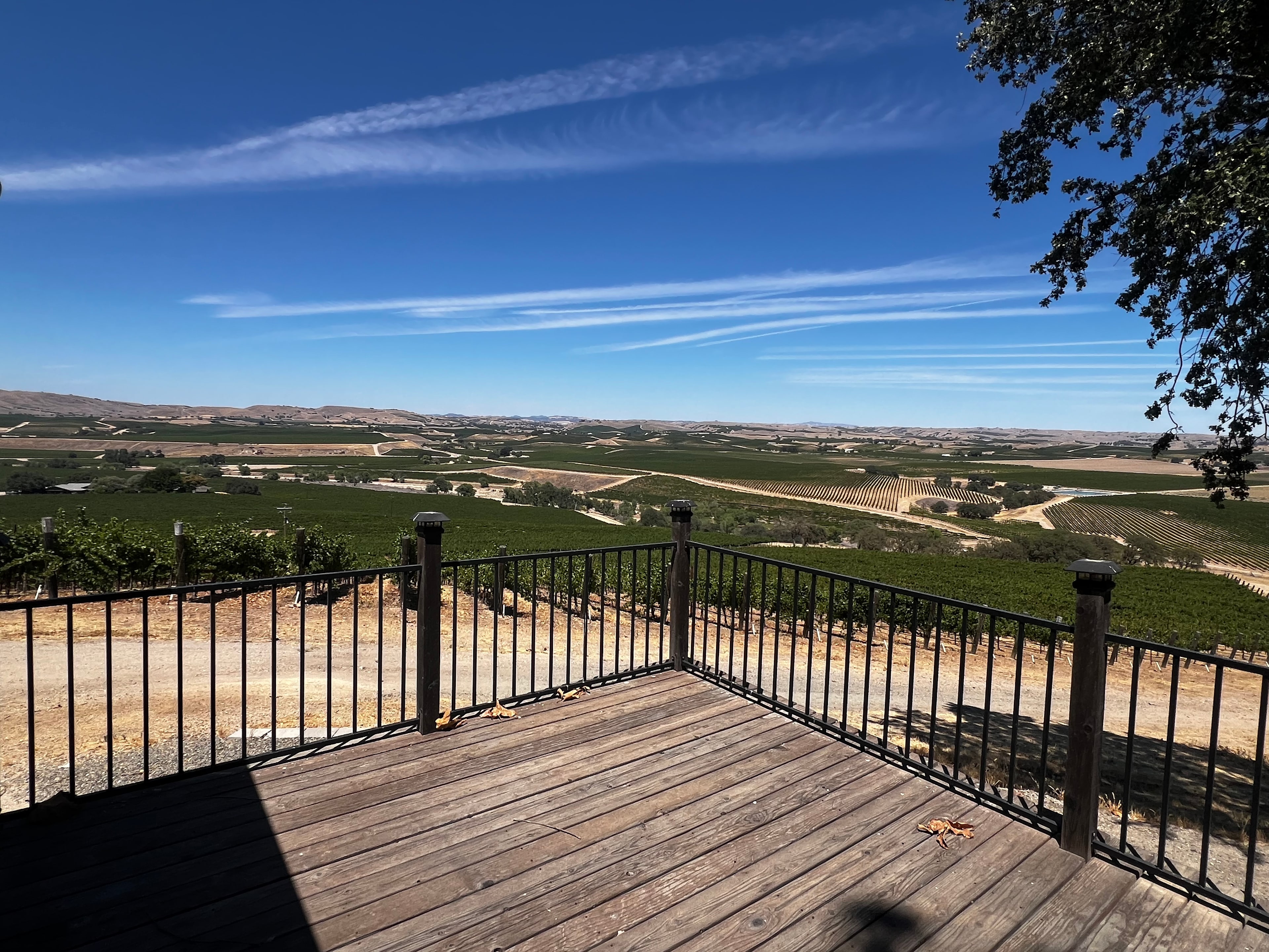 INSANE views -vineyard camping