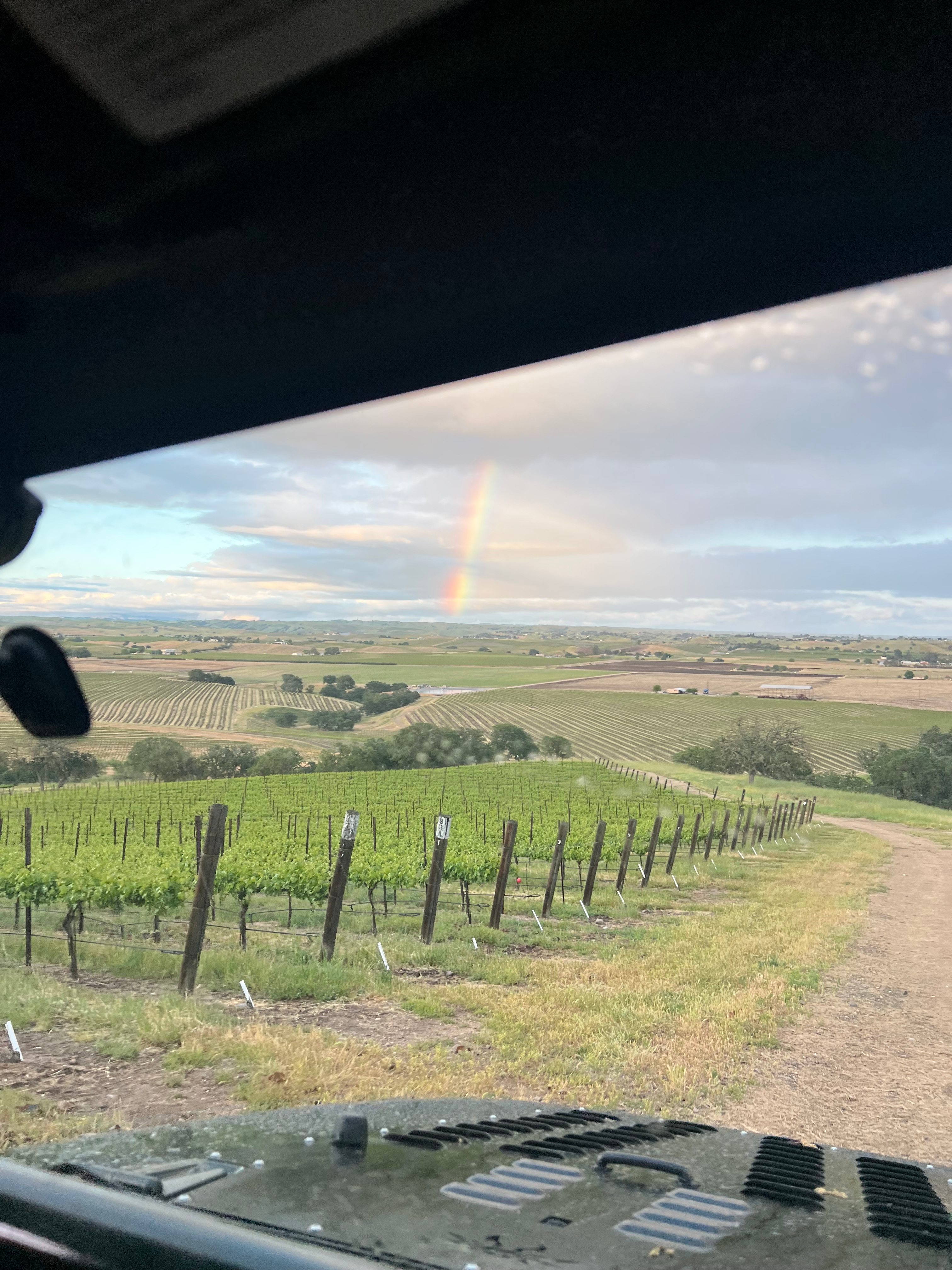 INSANE views -vineyard camping