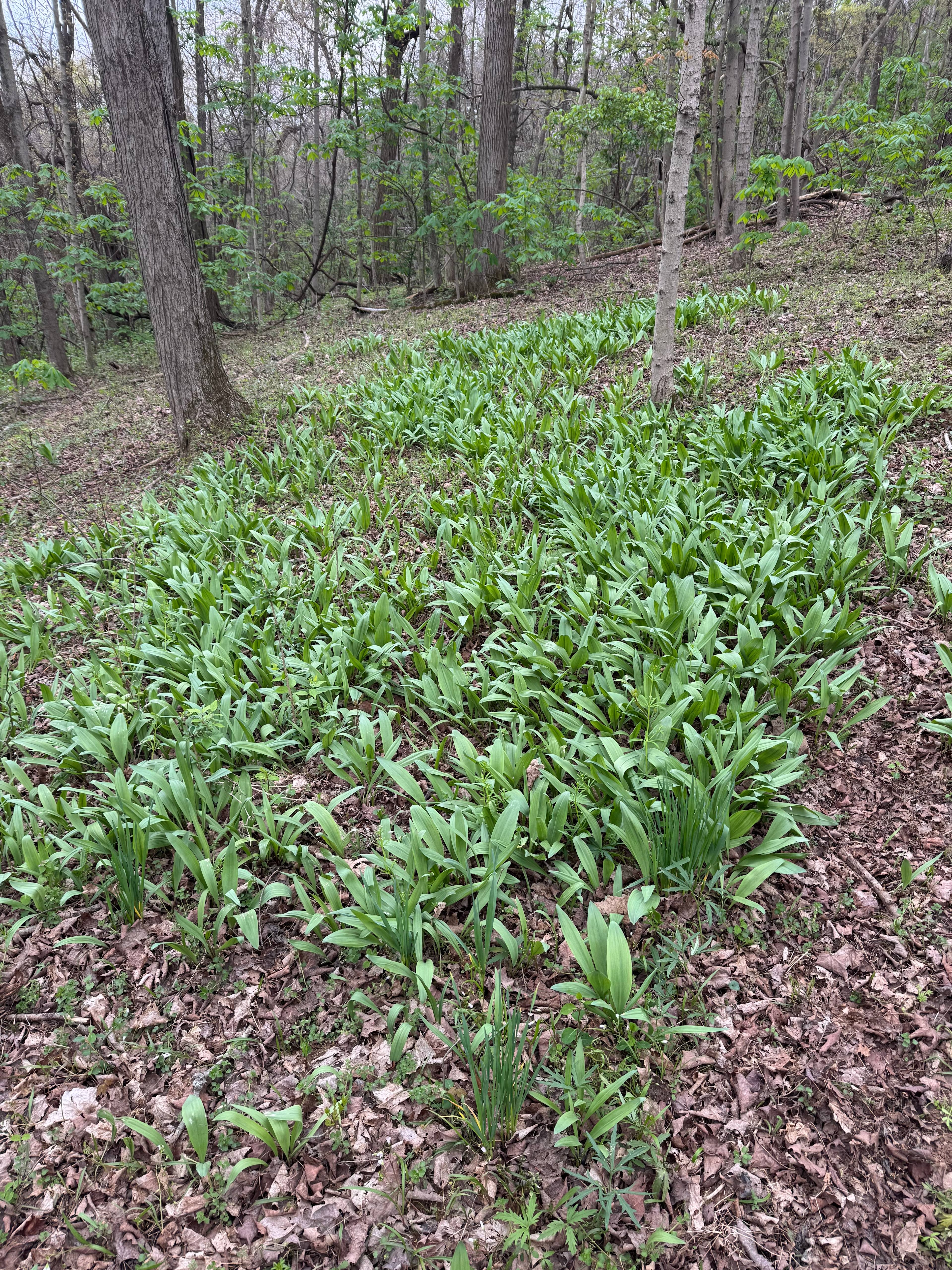 Harvest and Hive Farms