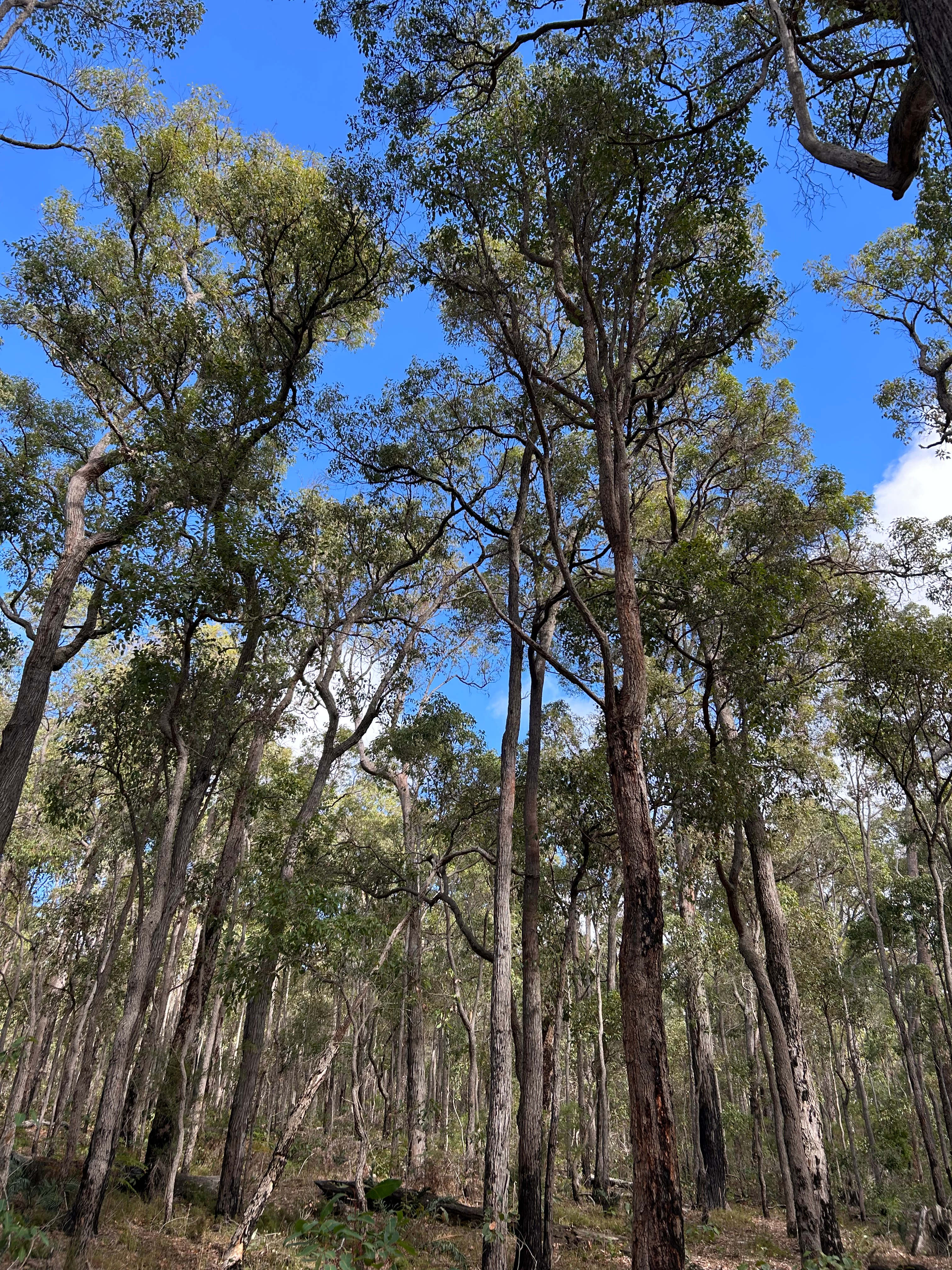 Southwest Farm And Forest