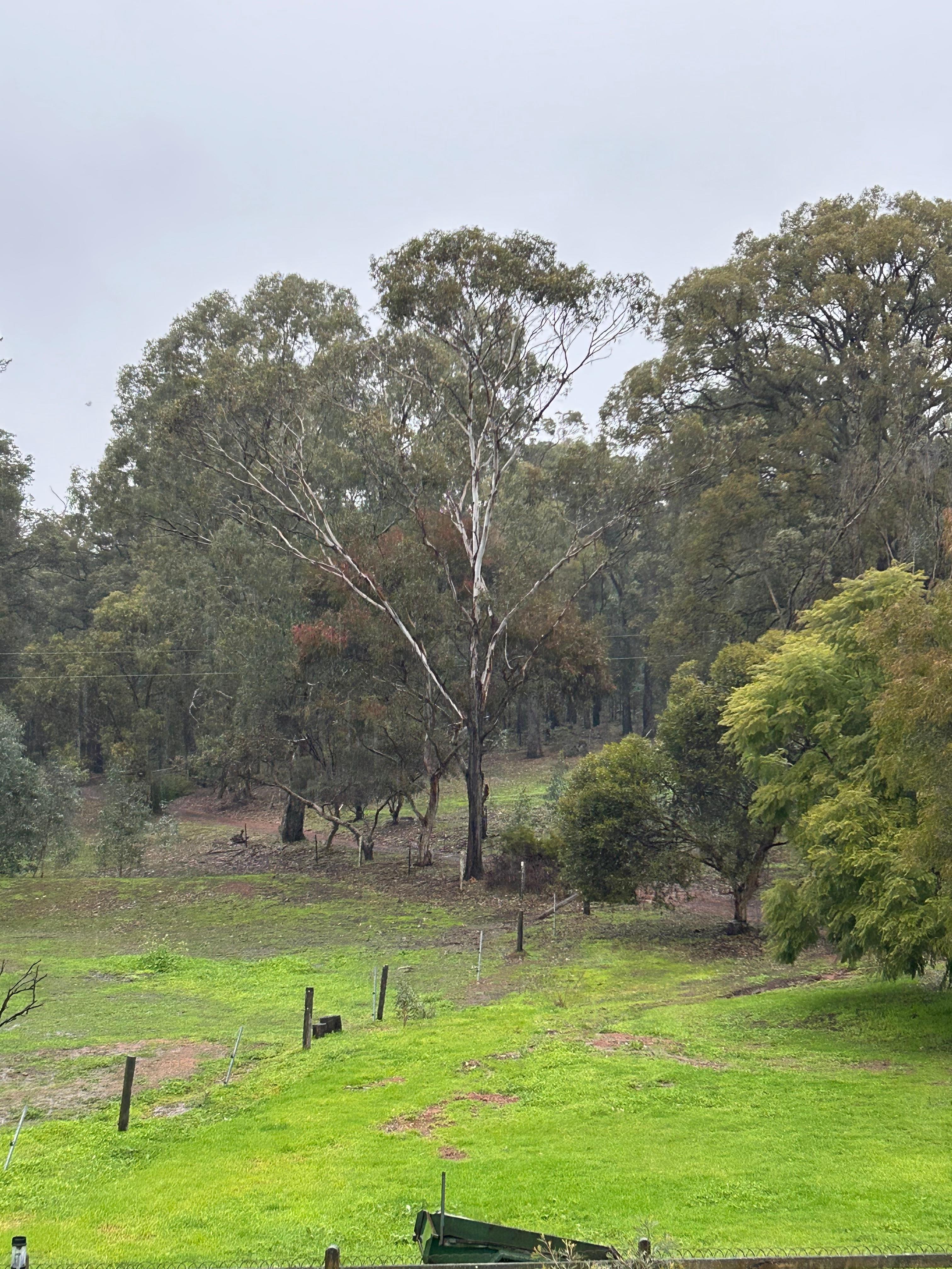 Southwest Farm And Forest
