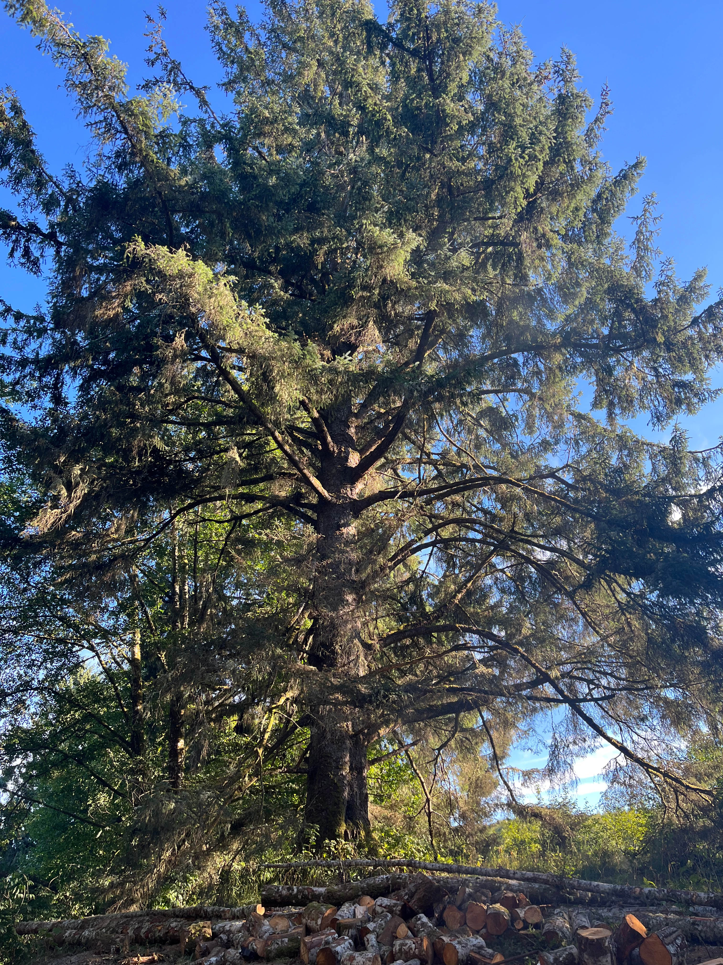 Nature by the Bay