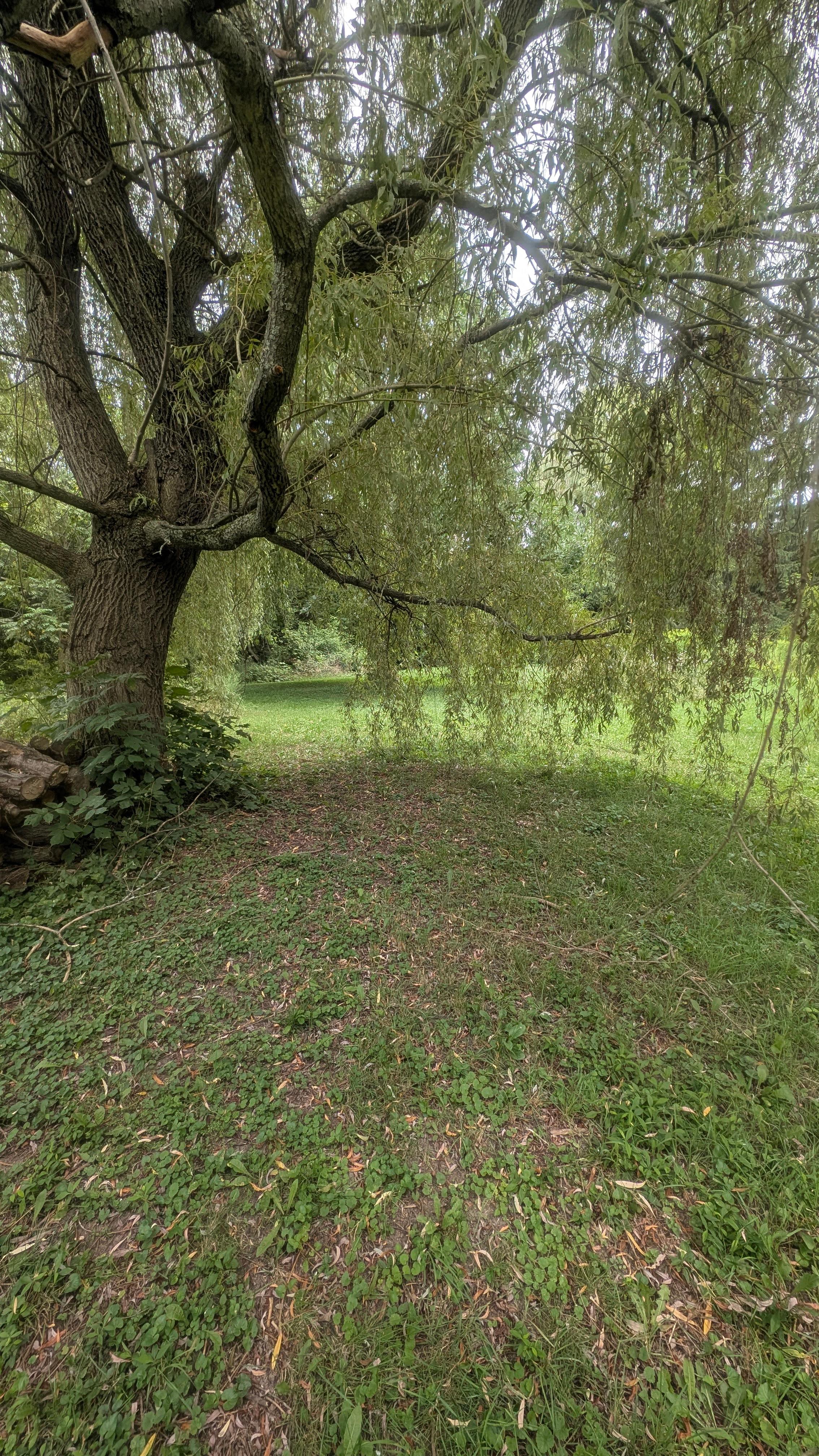 Domaine De La Rivière Aux Cochons