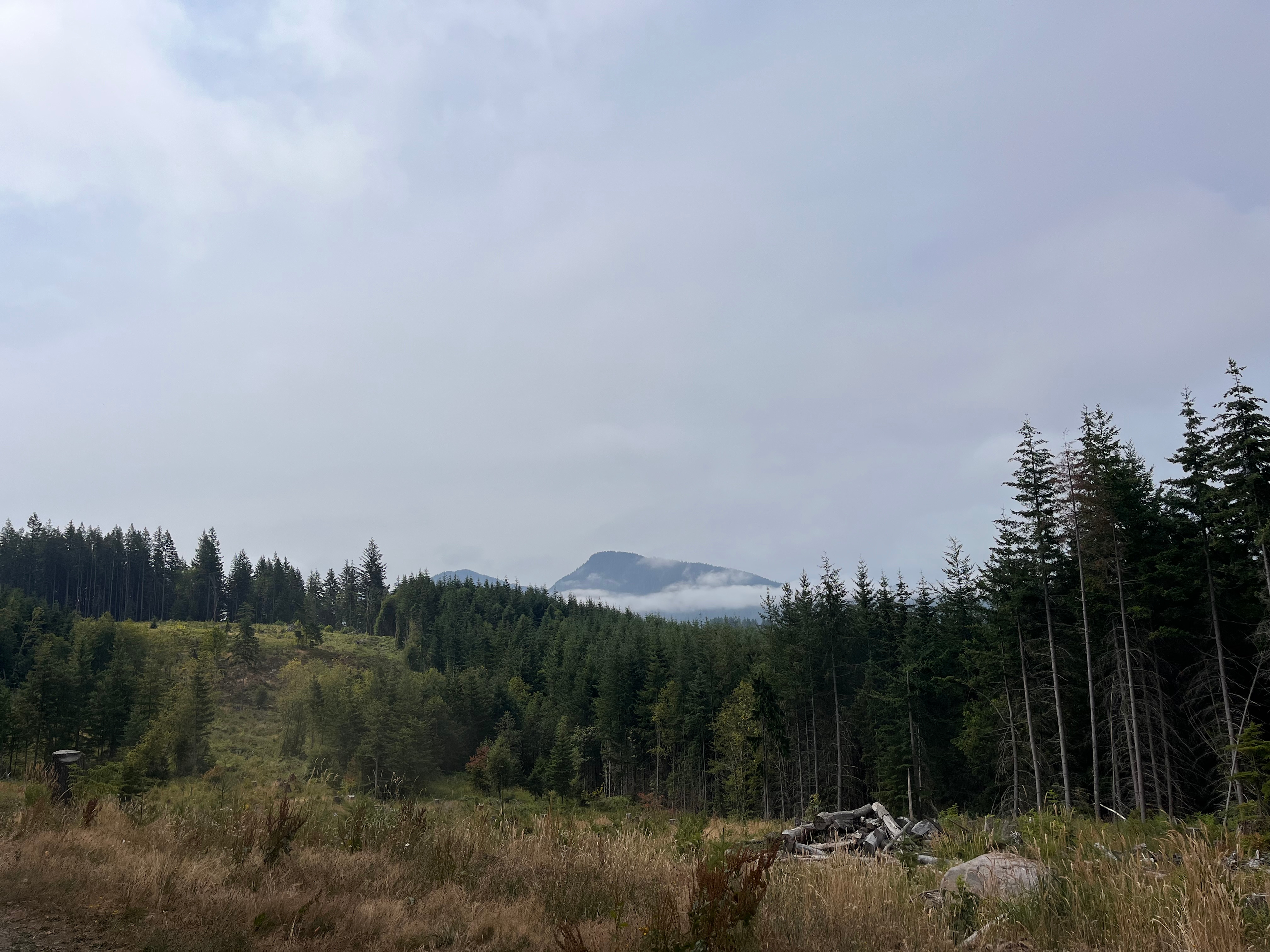 Mountain Wild Retreat