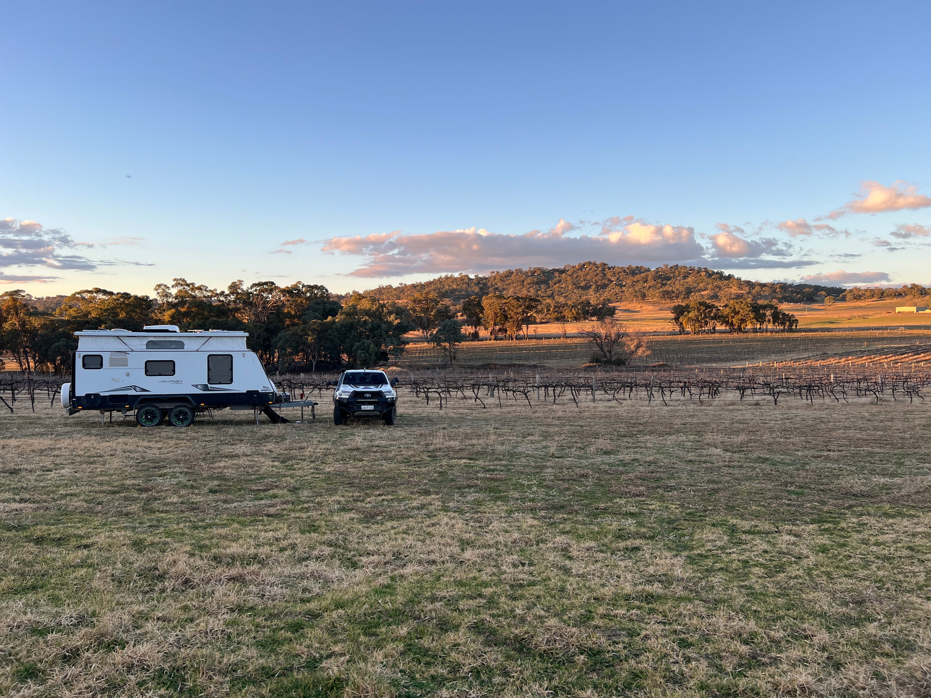 Vans in the Vines Mudgee