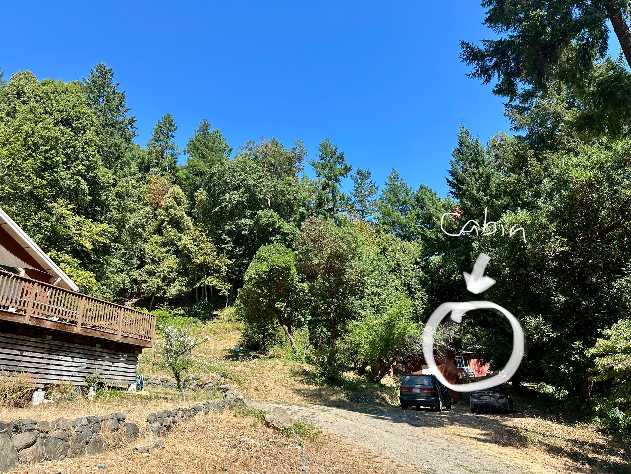 Charming Forest Cabin