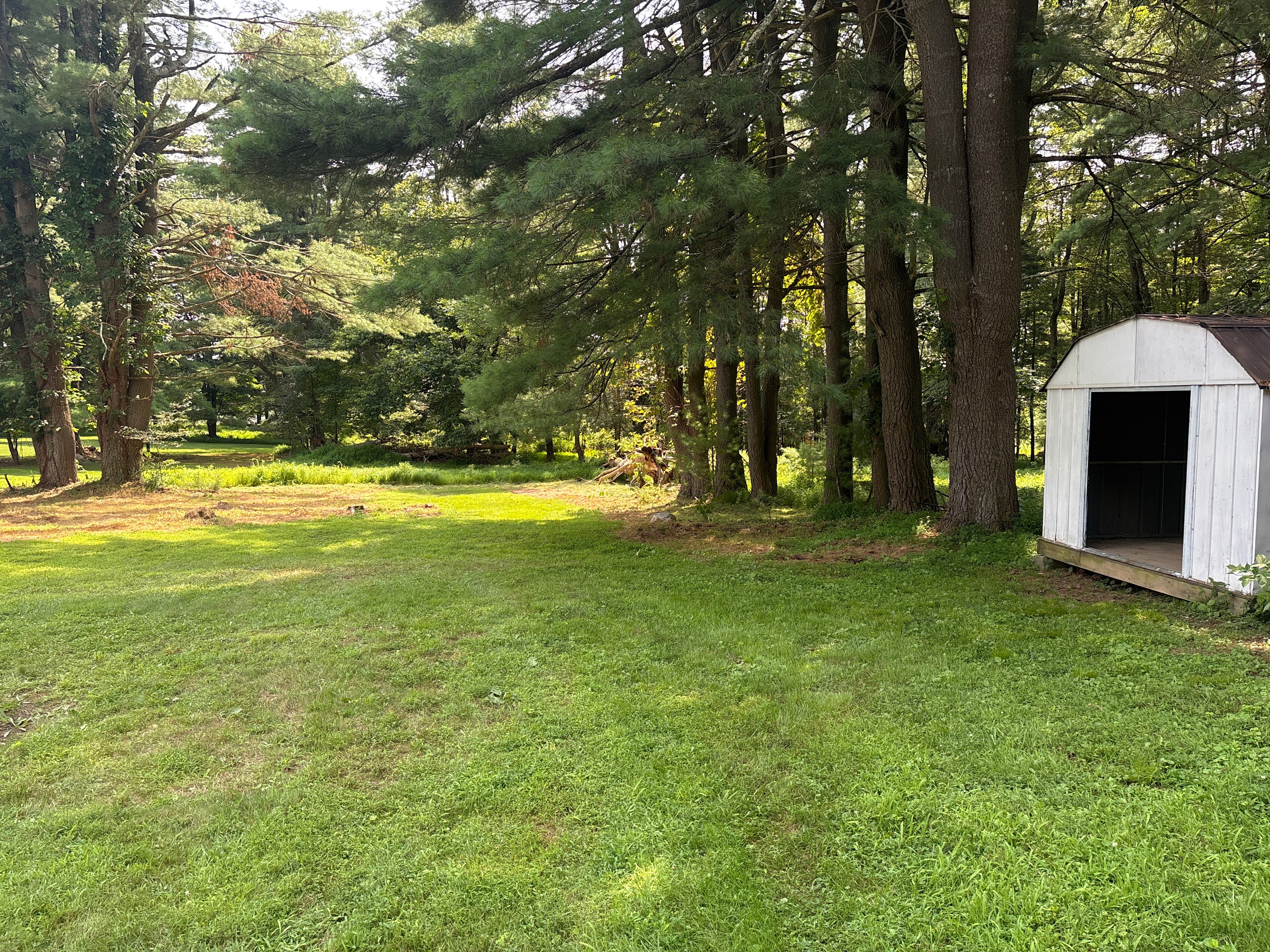The Meadow near Ricketts Glen