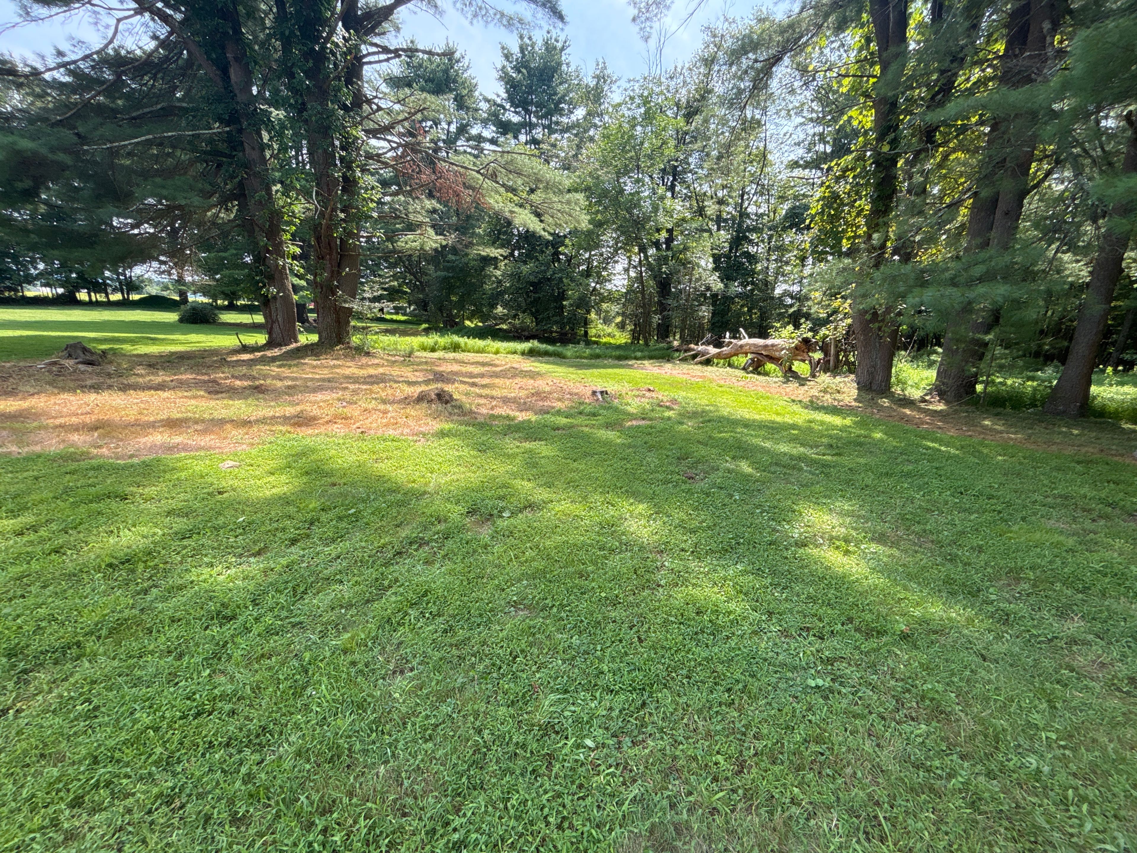 The Meadow near Ricketts Glen