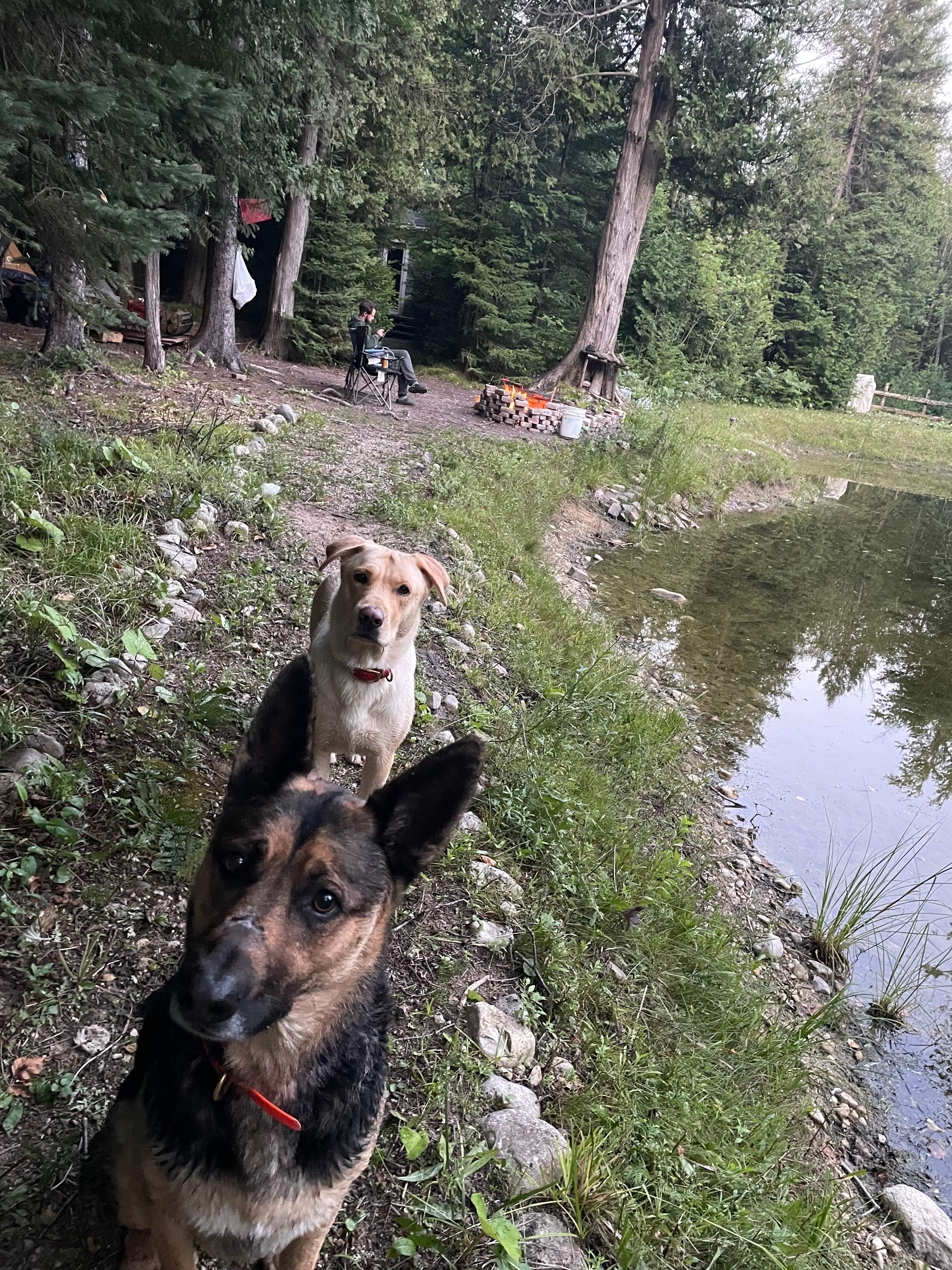 Peanut Pond Stargazing
