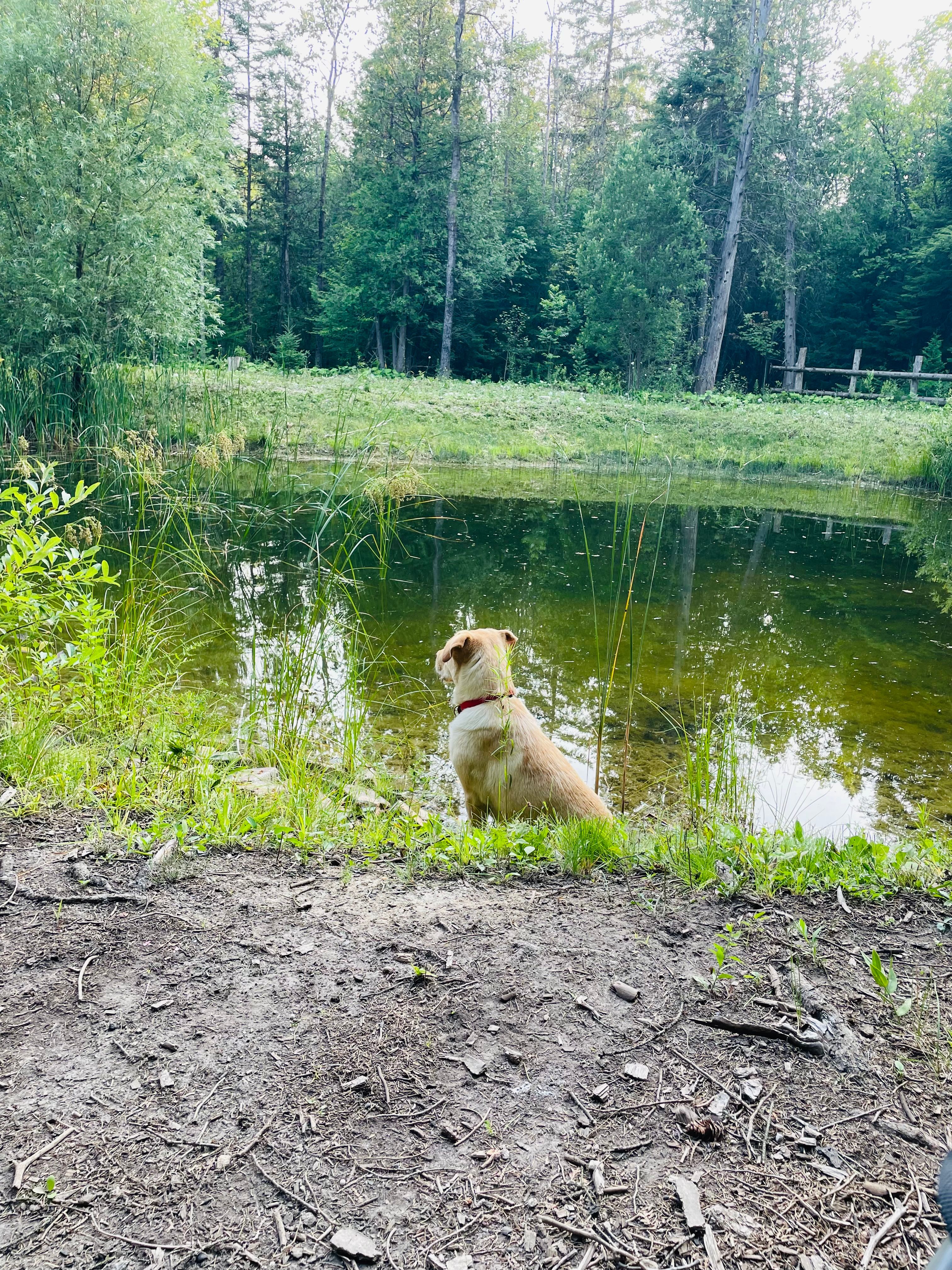 Peanut Pond Stargazing