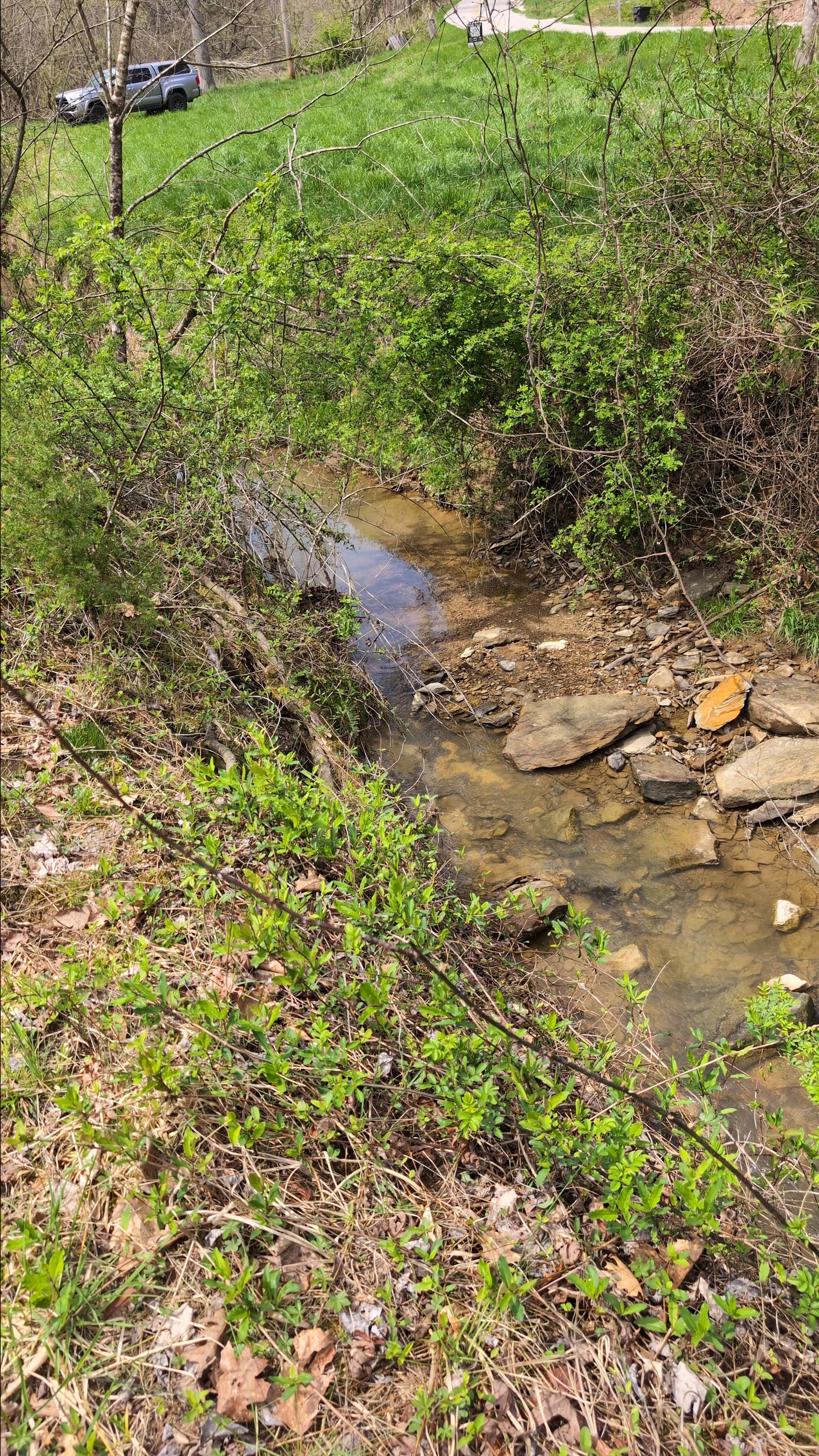 Camp Goldenrod  RRGorge-CaveR Lake