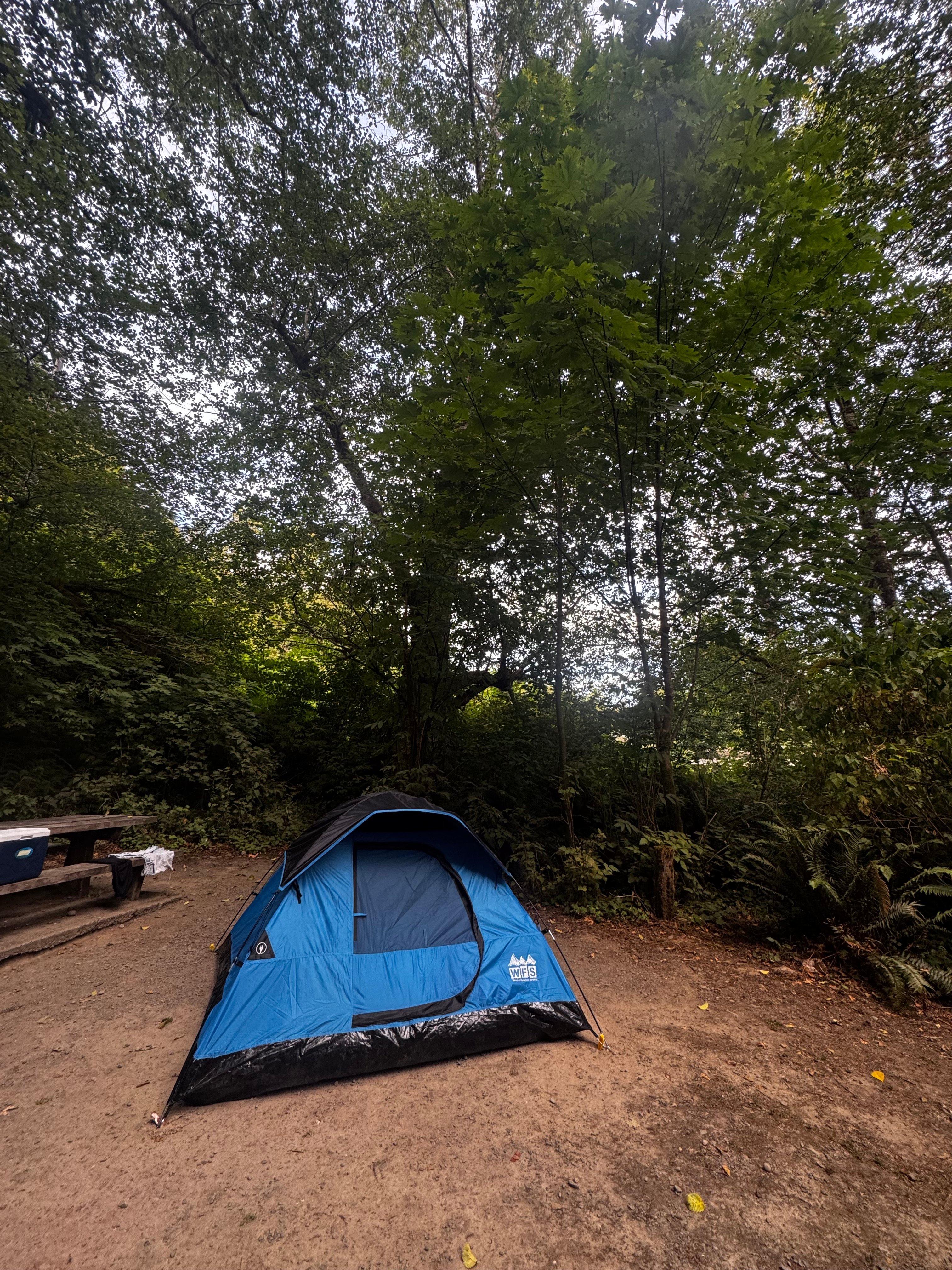 Bogachiel Campground