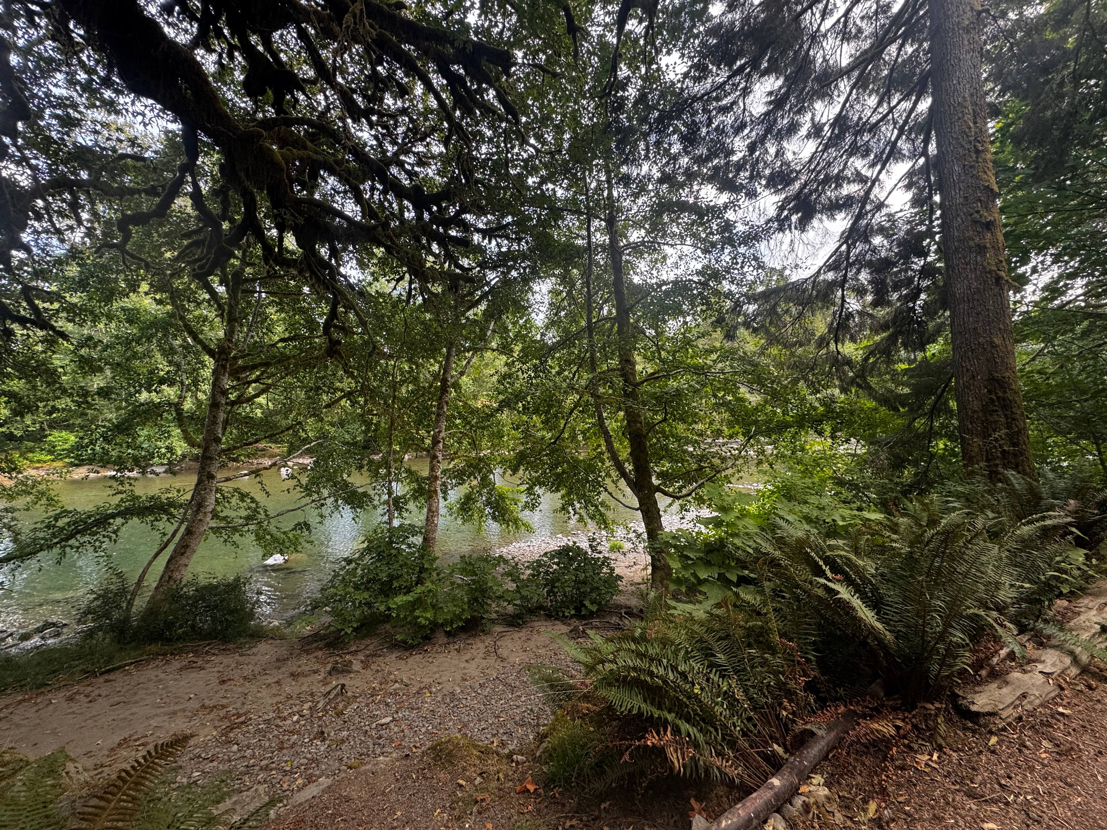 Bogachiel Campground