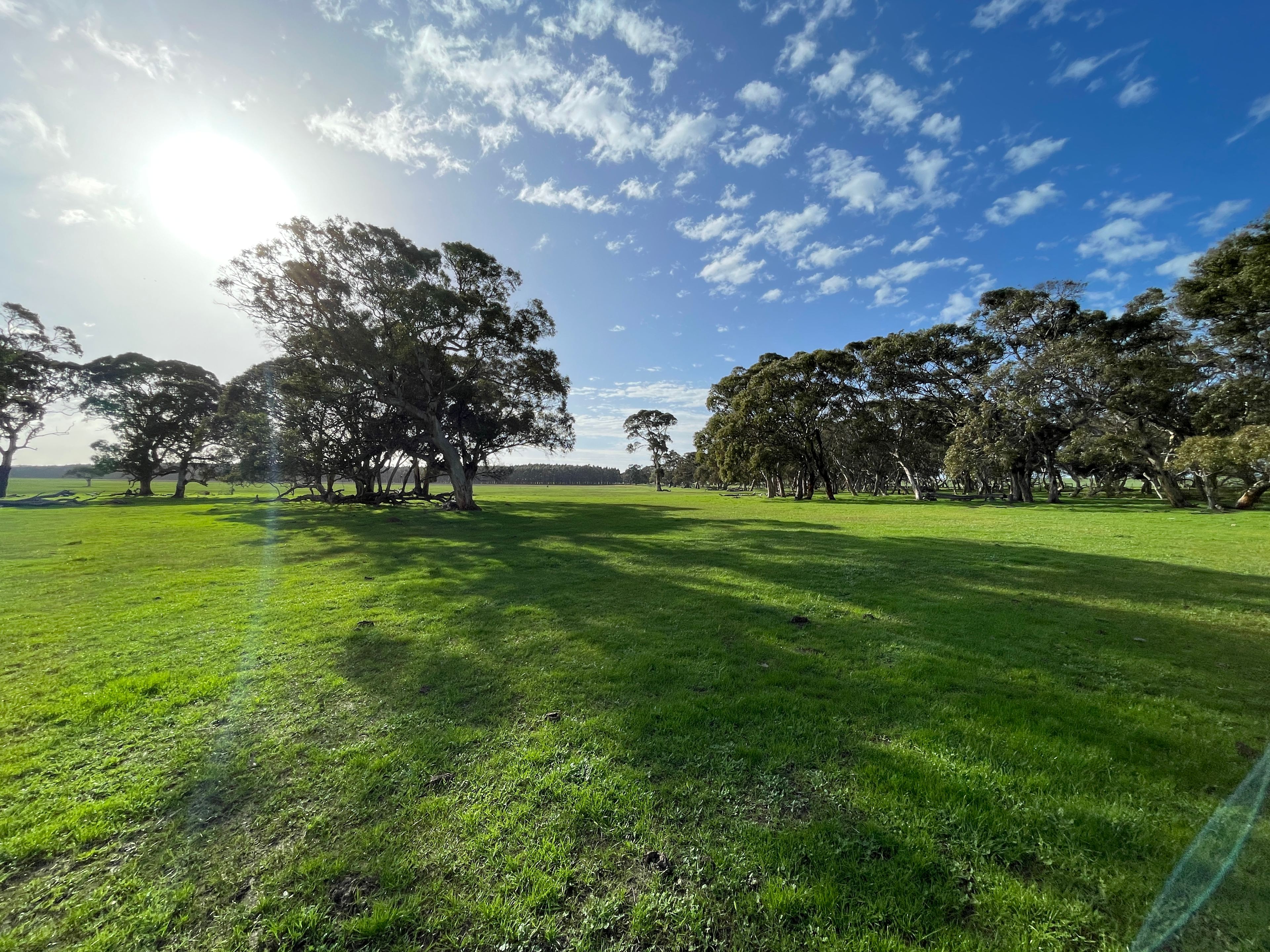Amberfeld Big Gum Camp