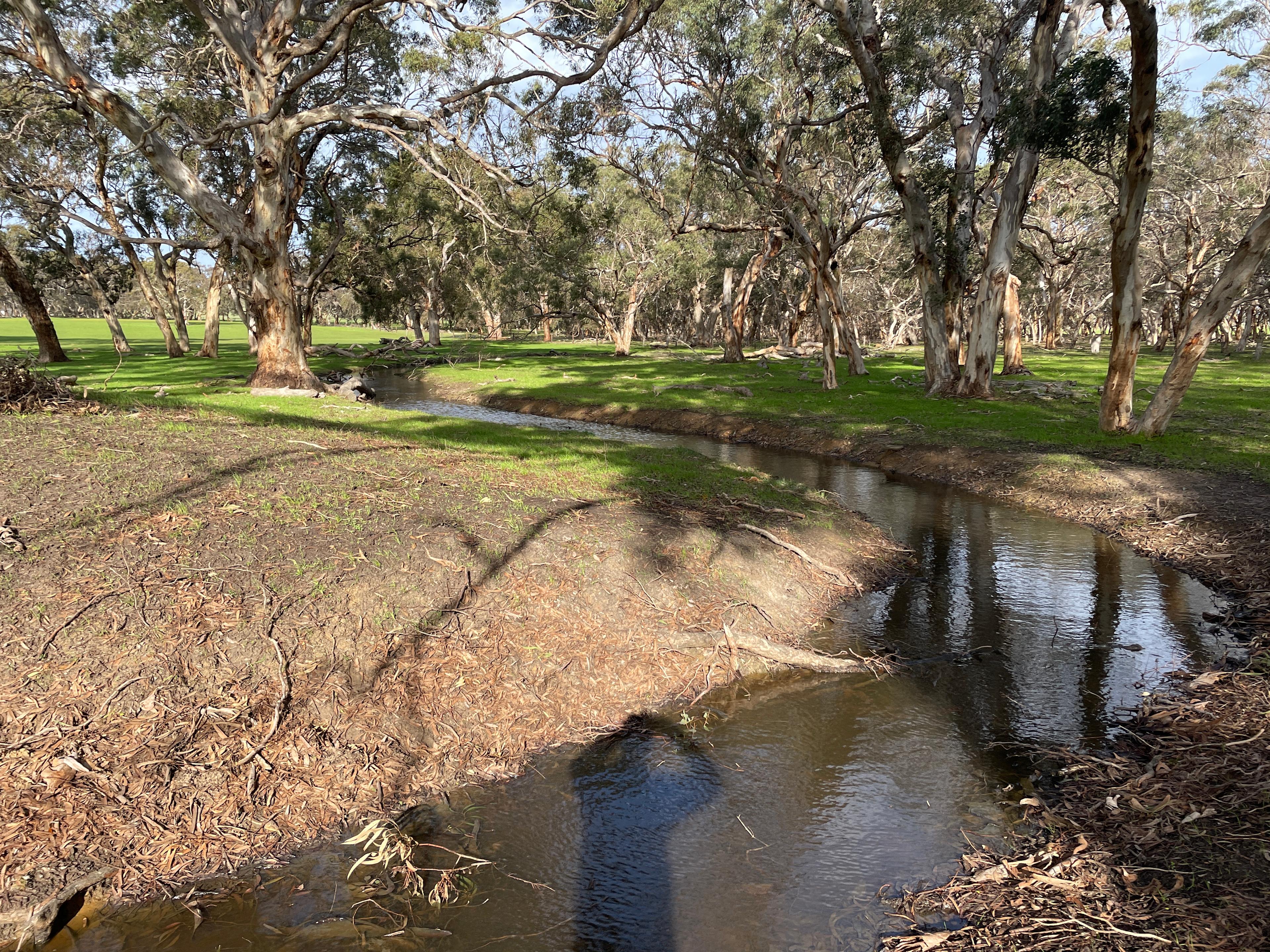 Amberfeld Big Gum Camp