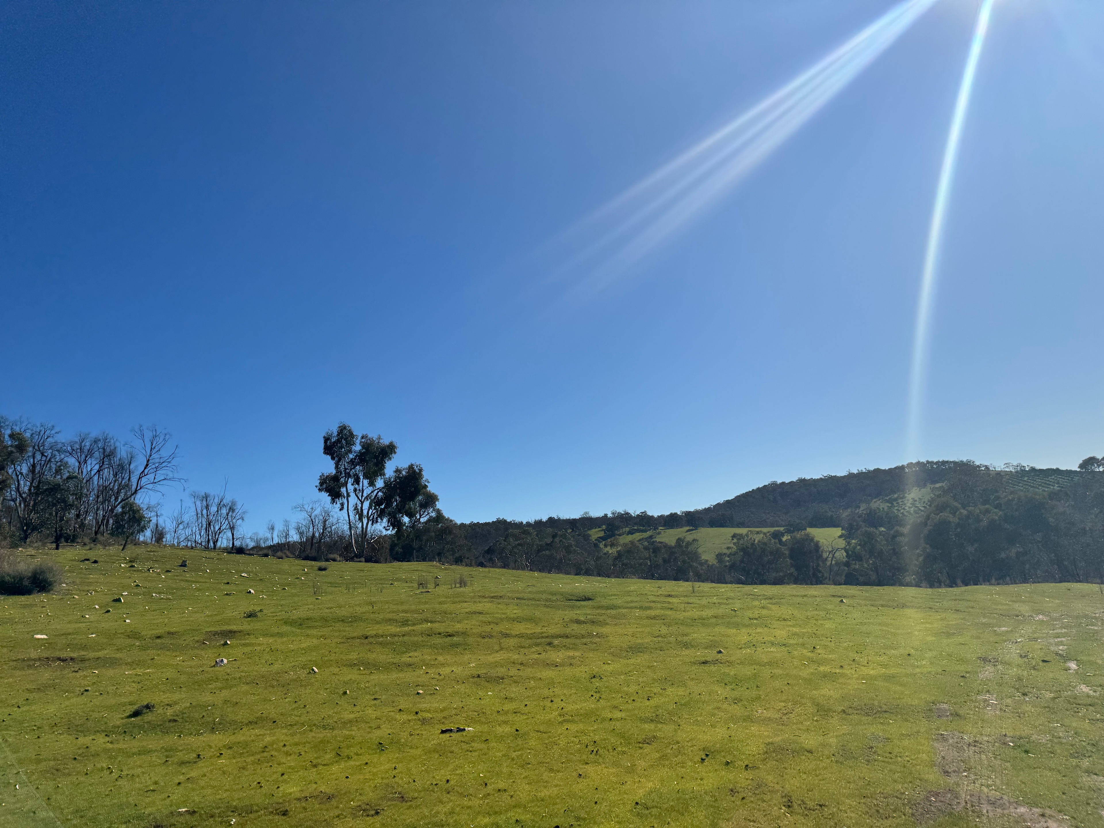 MAYLINGA @ 100 acre woods