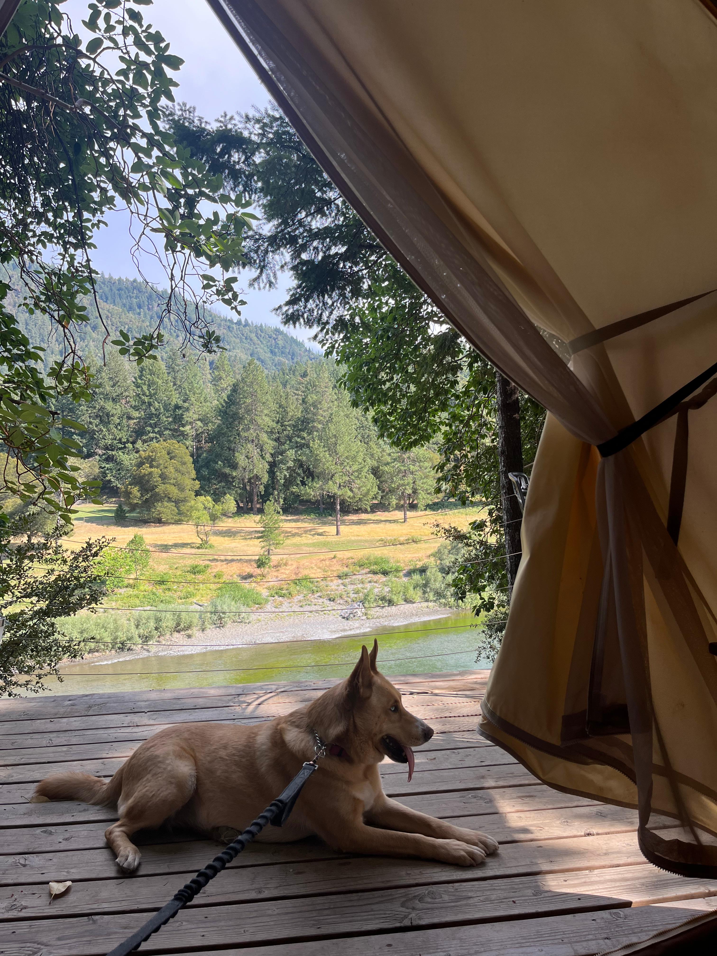 View from the tent :) 